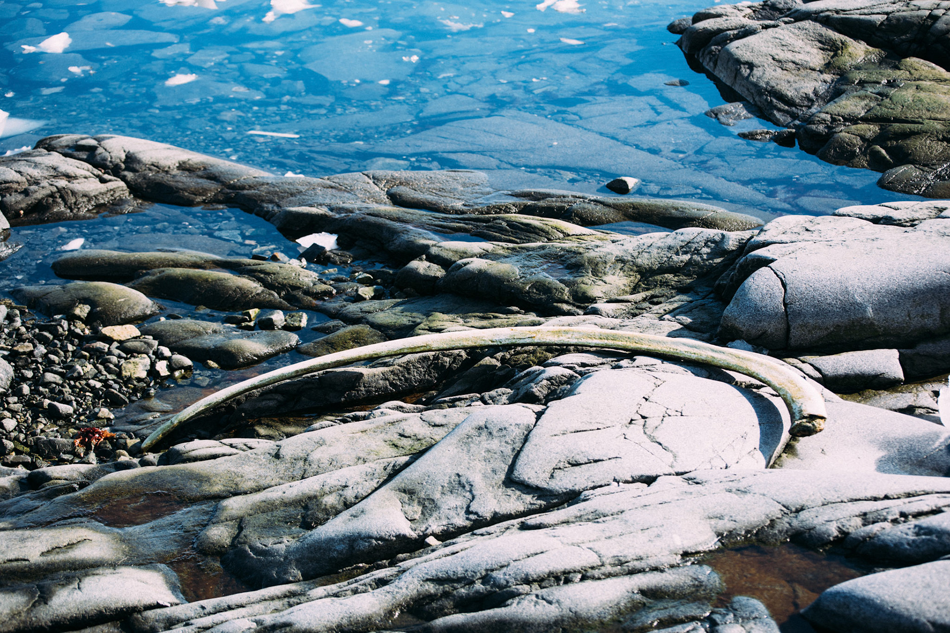 500px Photo ID: 201614209 -