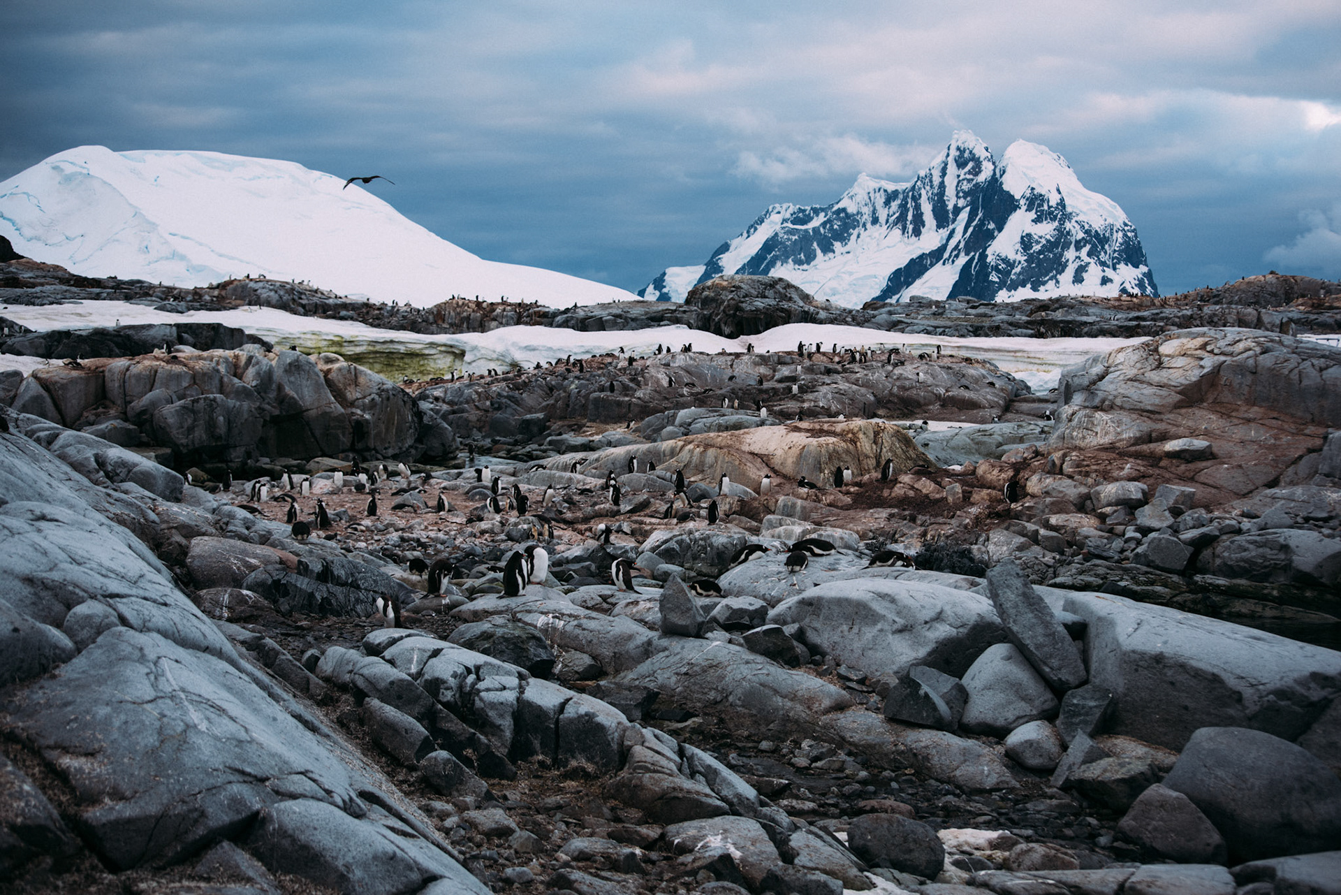 500px Photo ID: 201591157 -