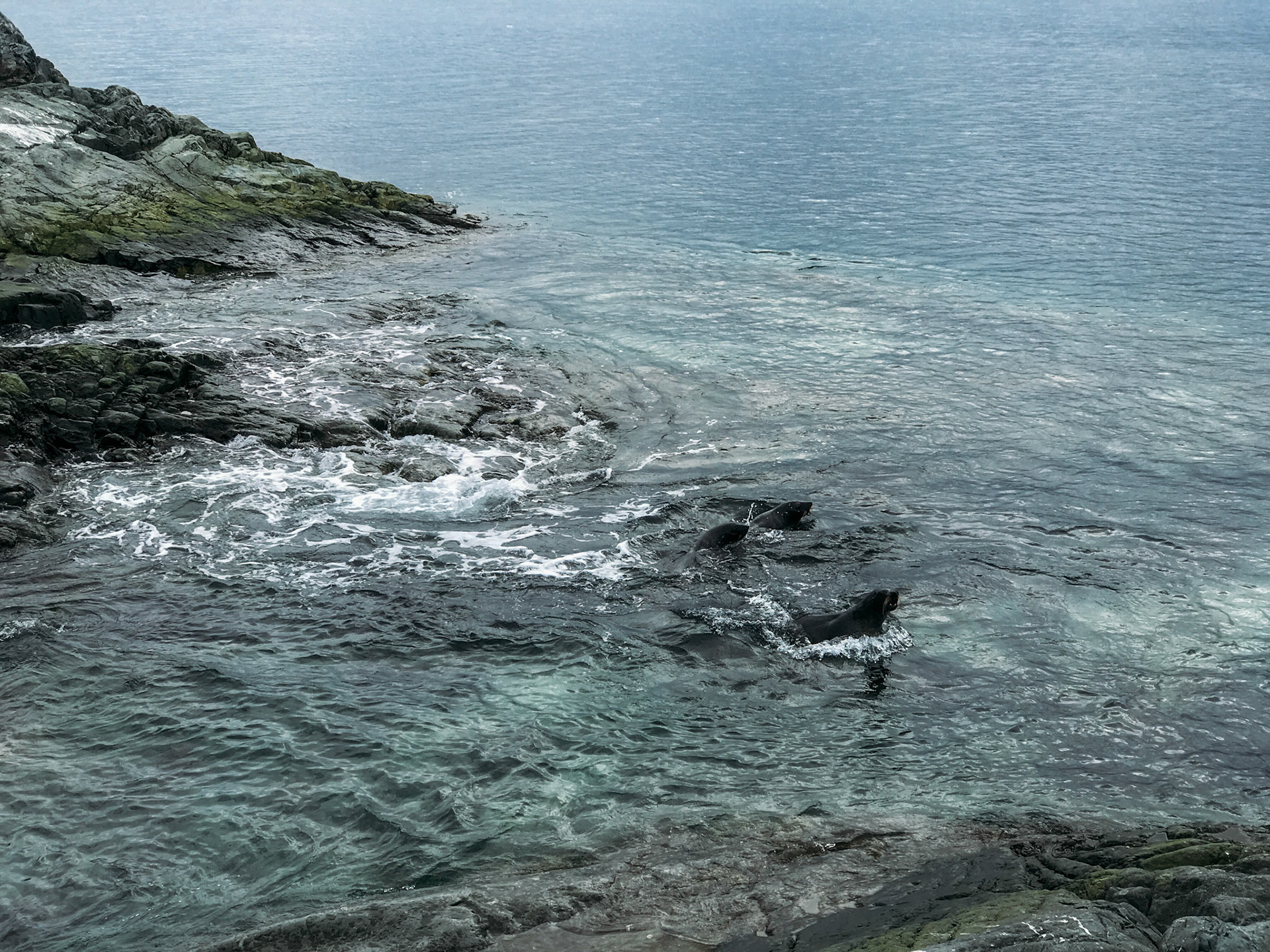 500px Photo ID: 201604649 -