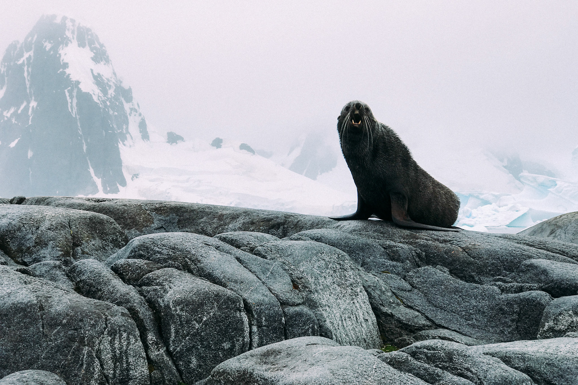 500px Photo ID: 201555713 -