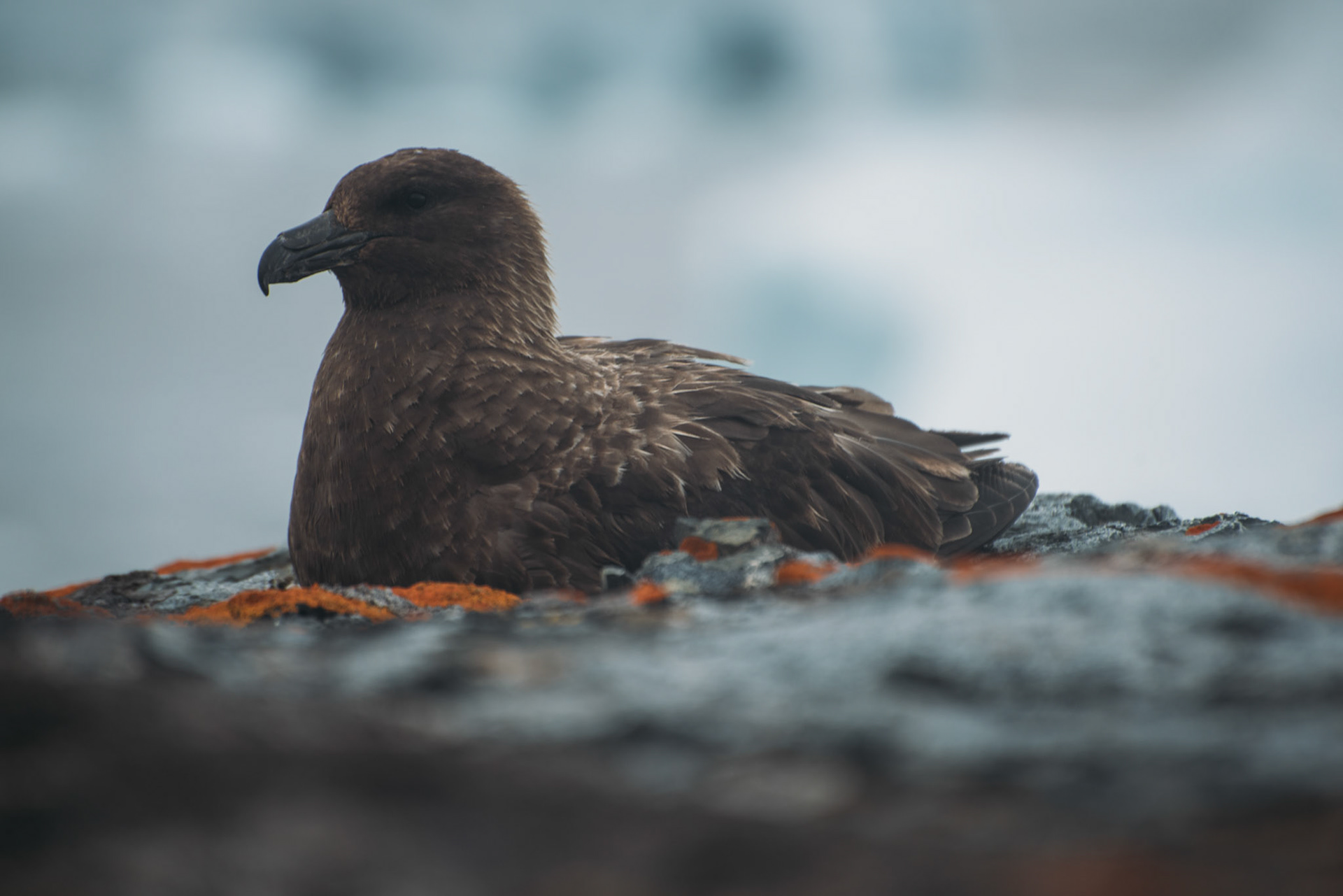 500px Photo ID: 201585141 -