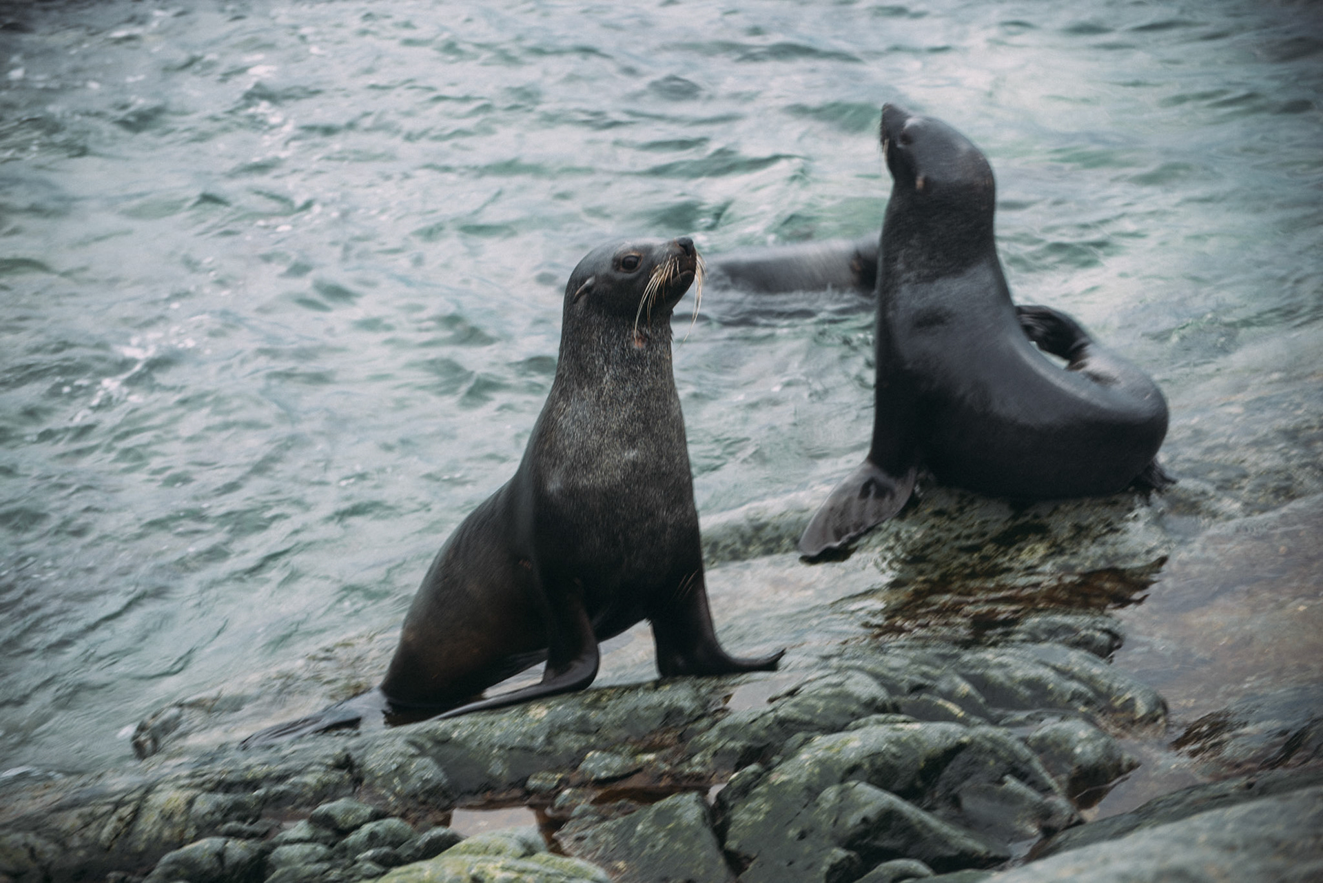 500px Photo ID: 201587563 -