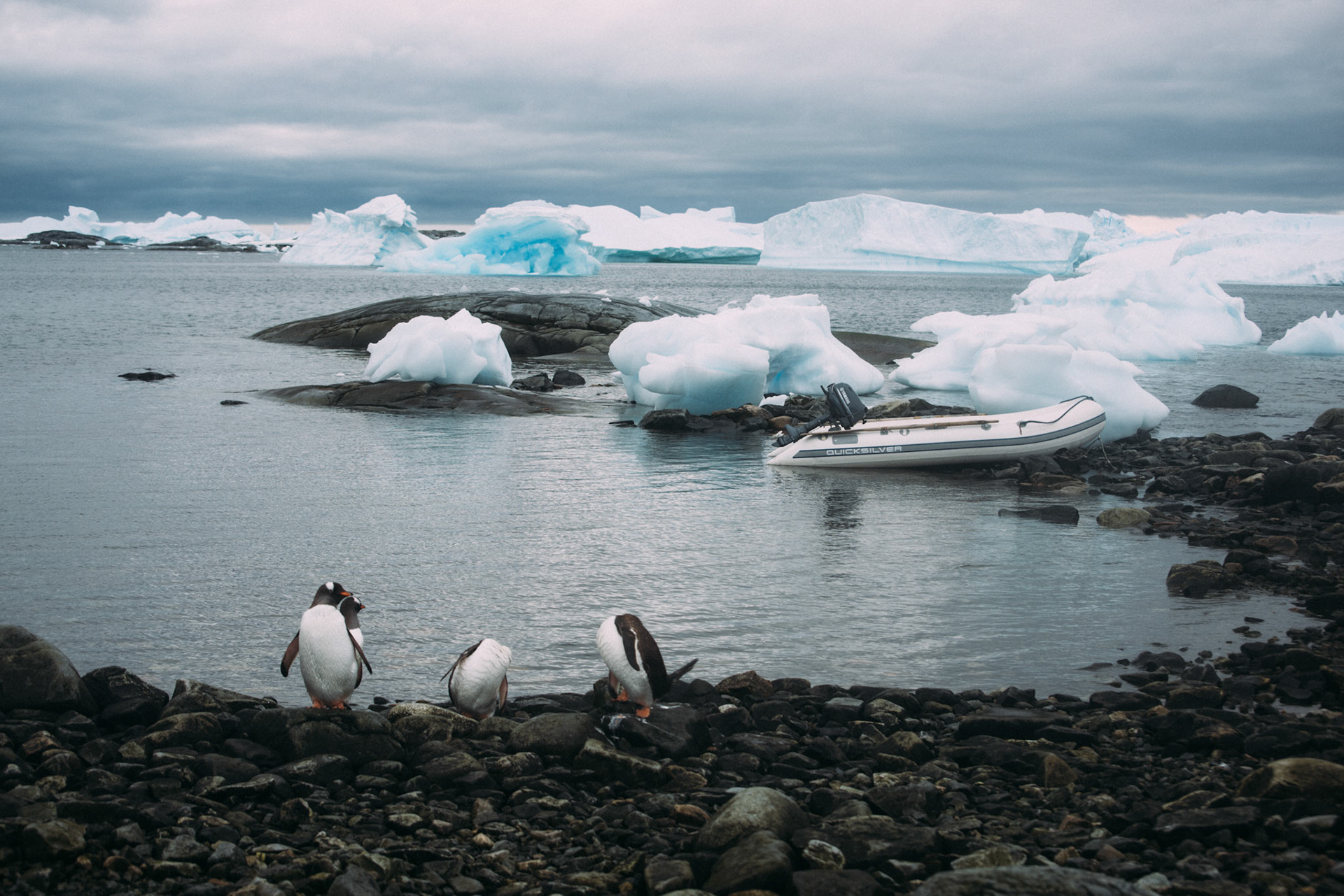 500px Photo ID: 201547925 -