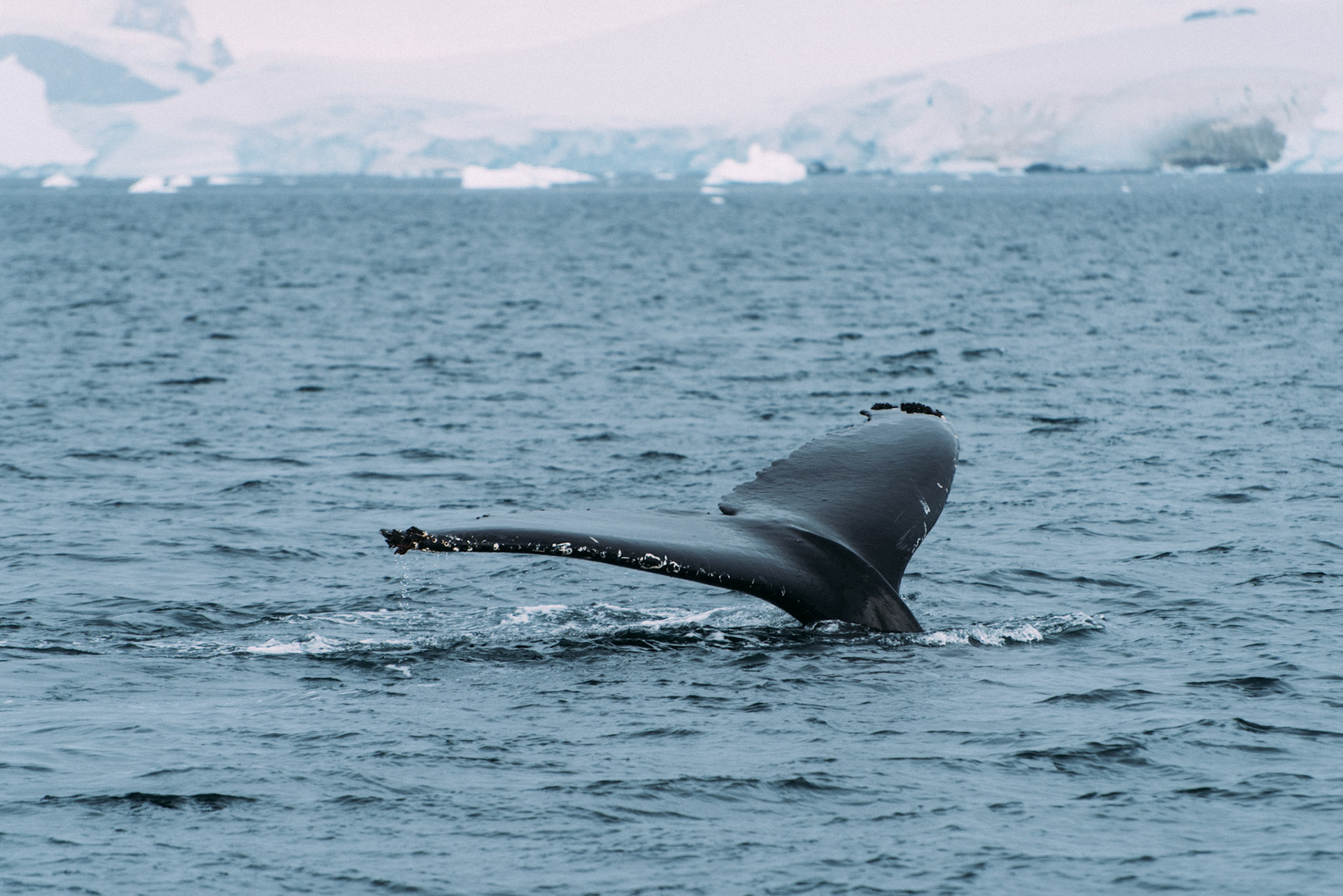 500px Photo ID: 201693047 -