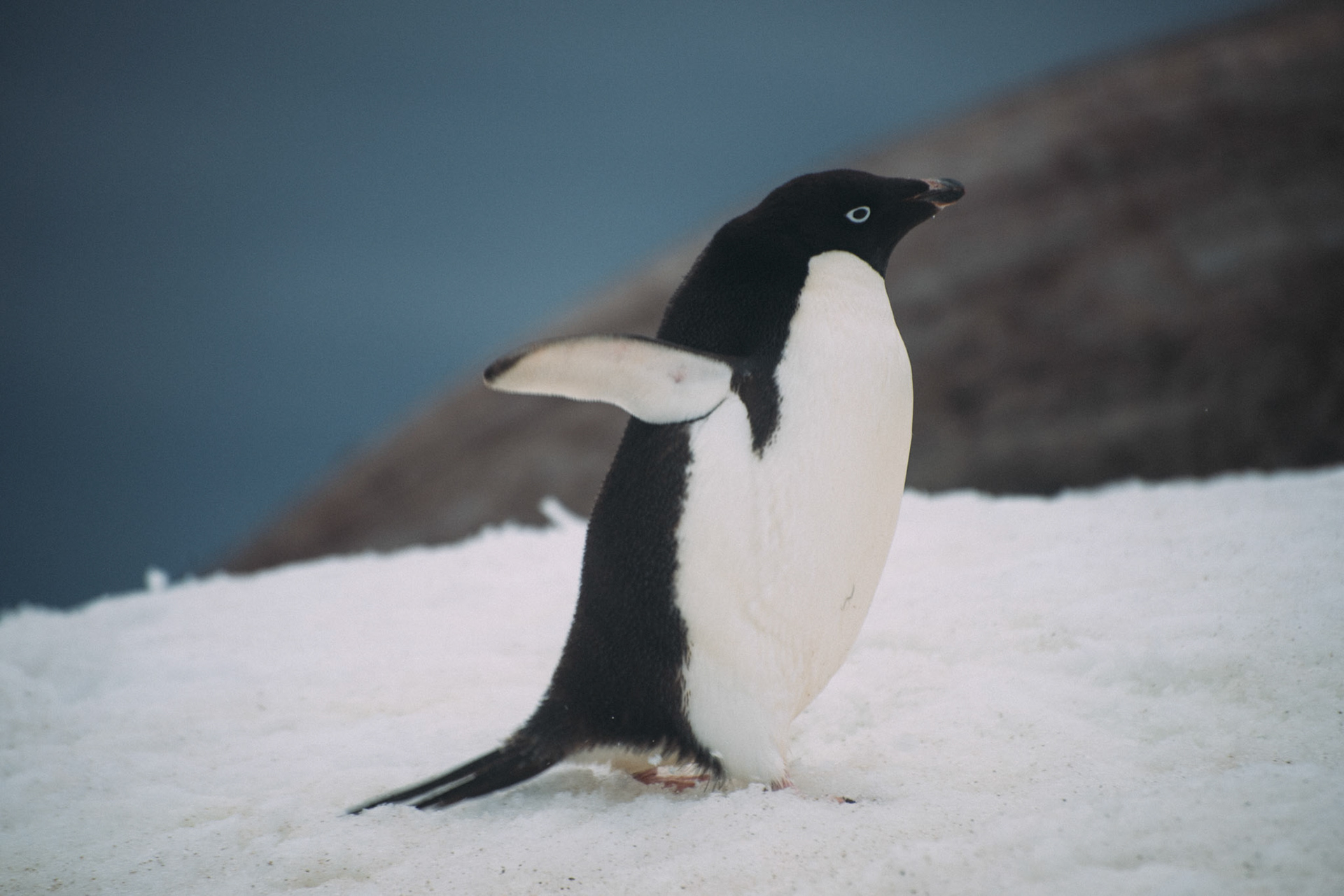 500px Photo ID: 201586261 -