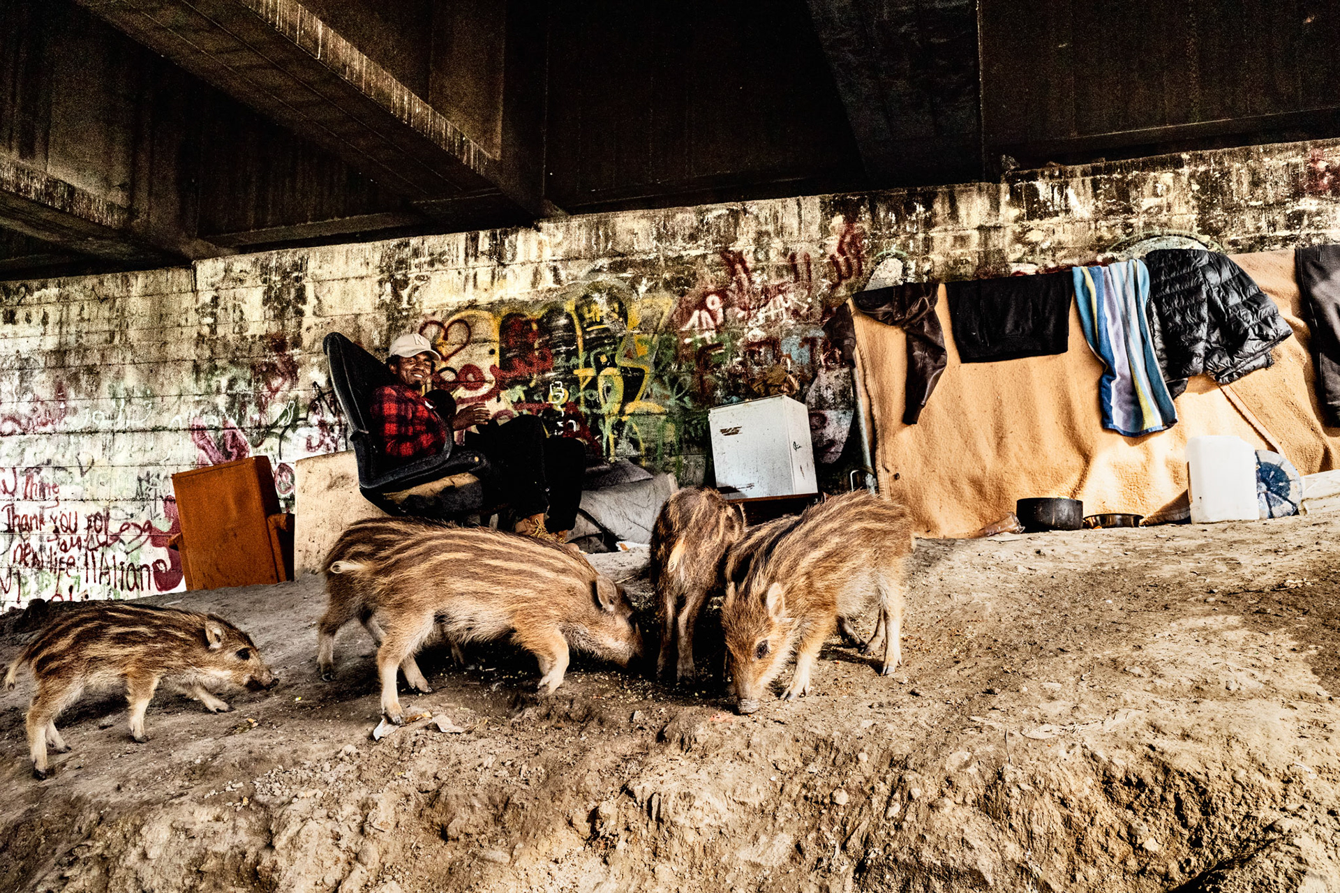 These wild boar cubs roamed undisturbed with their mothers in the vast camp along the Roja river in search of food. They were often fed with scraps and respected by the majority of people (mostly of the Islamic religion).