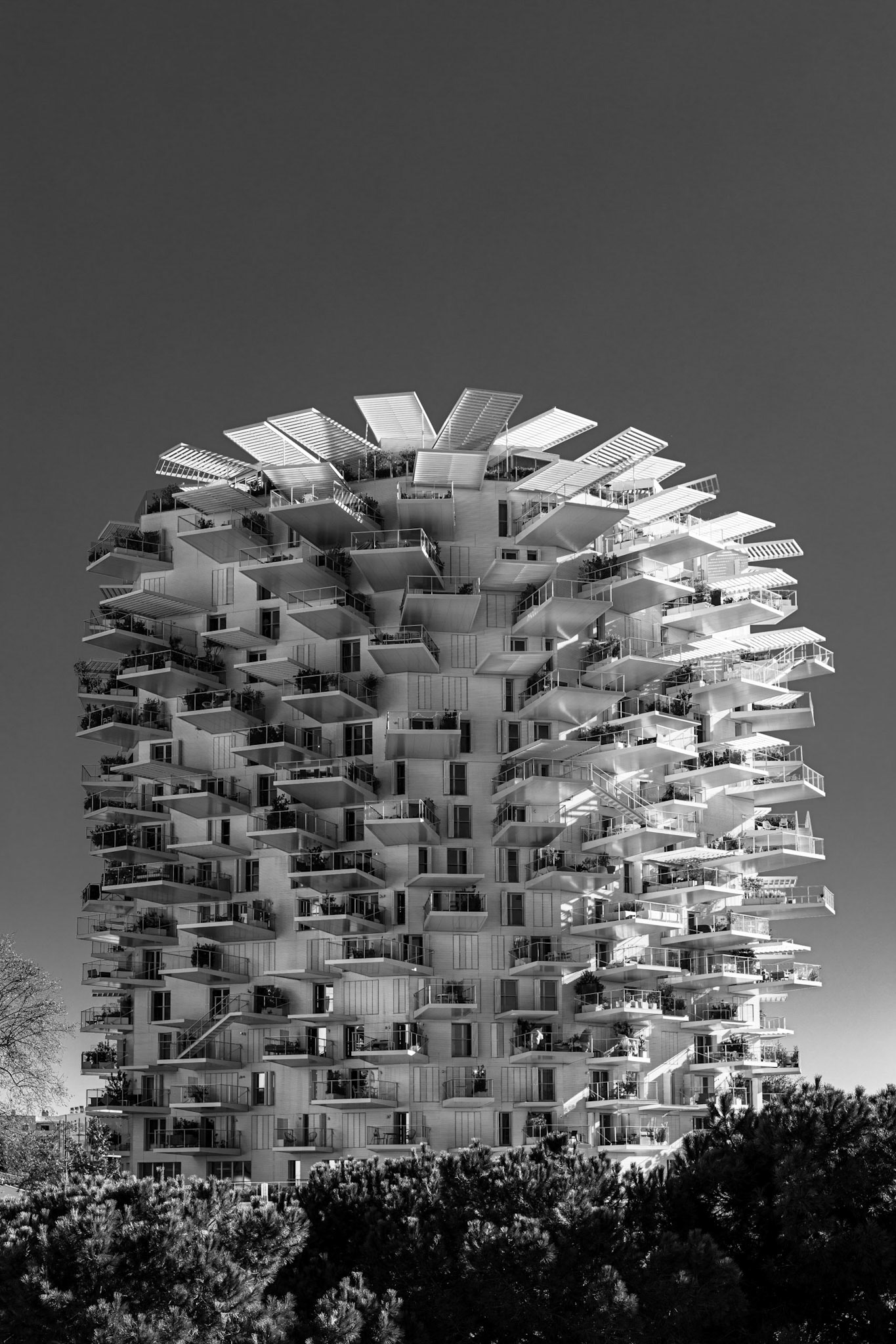 Montpellier
