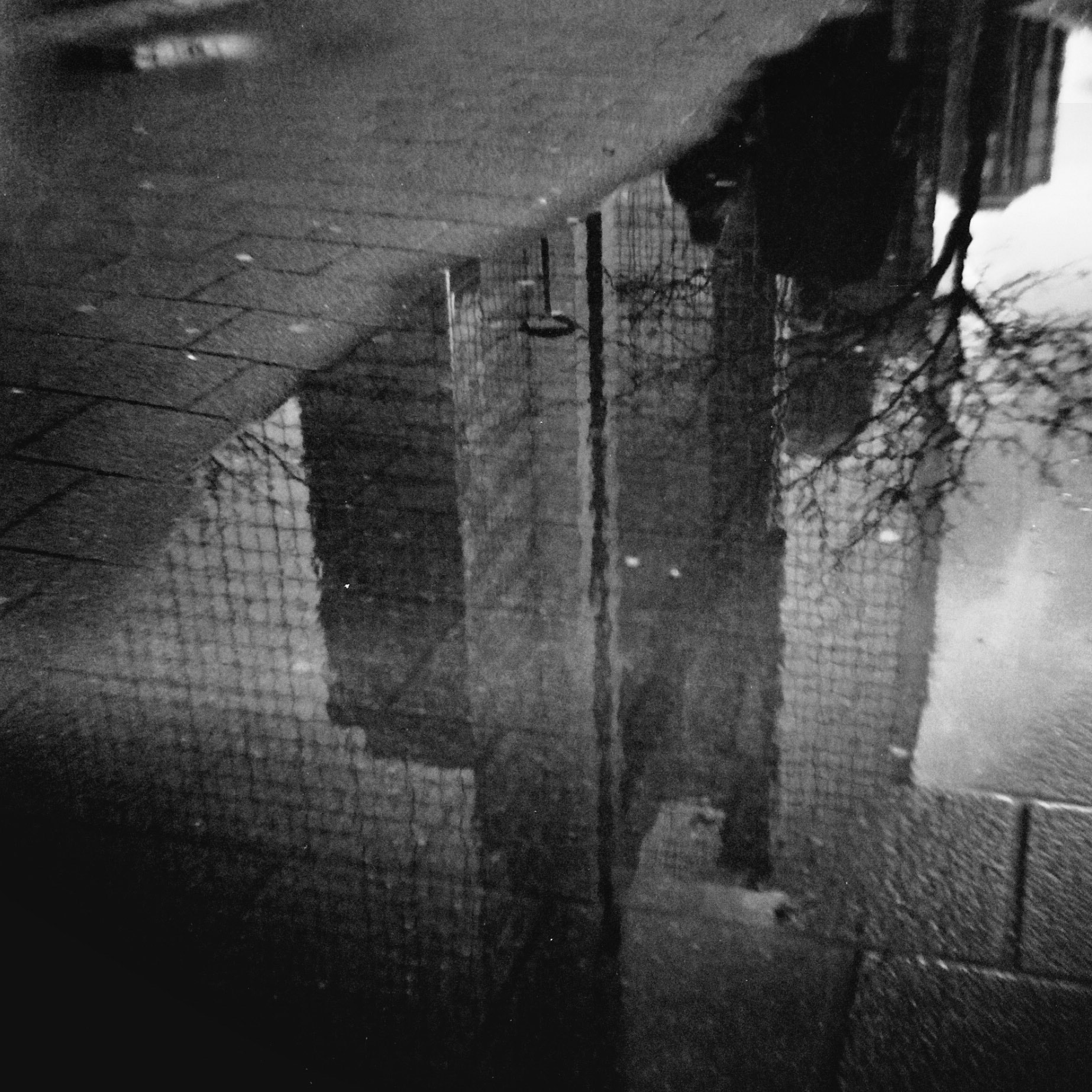 Autosave-File vom d-lab2/3 der AgfaPhoto GmbH
