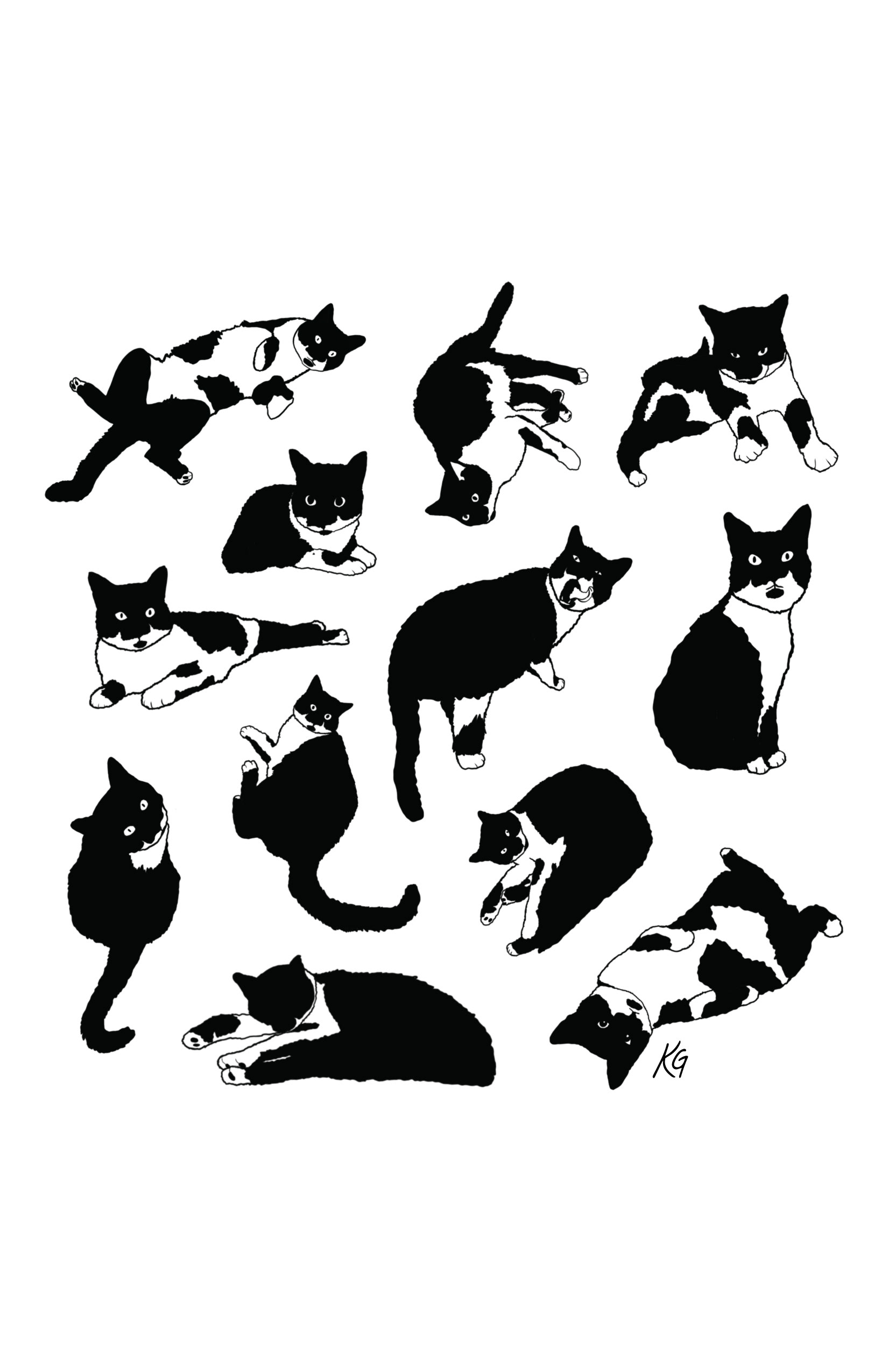 Tuxedo Cat Illustration