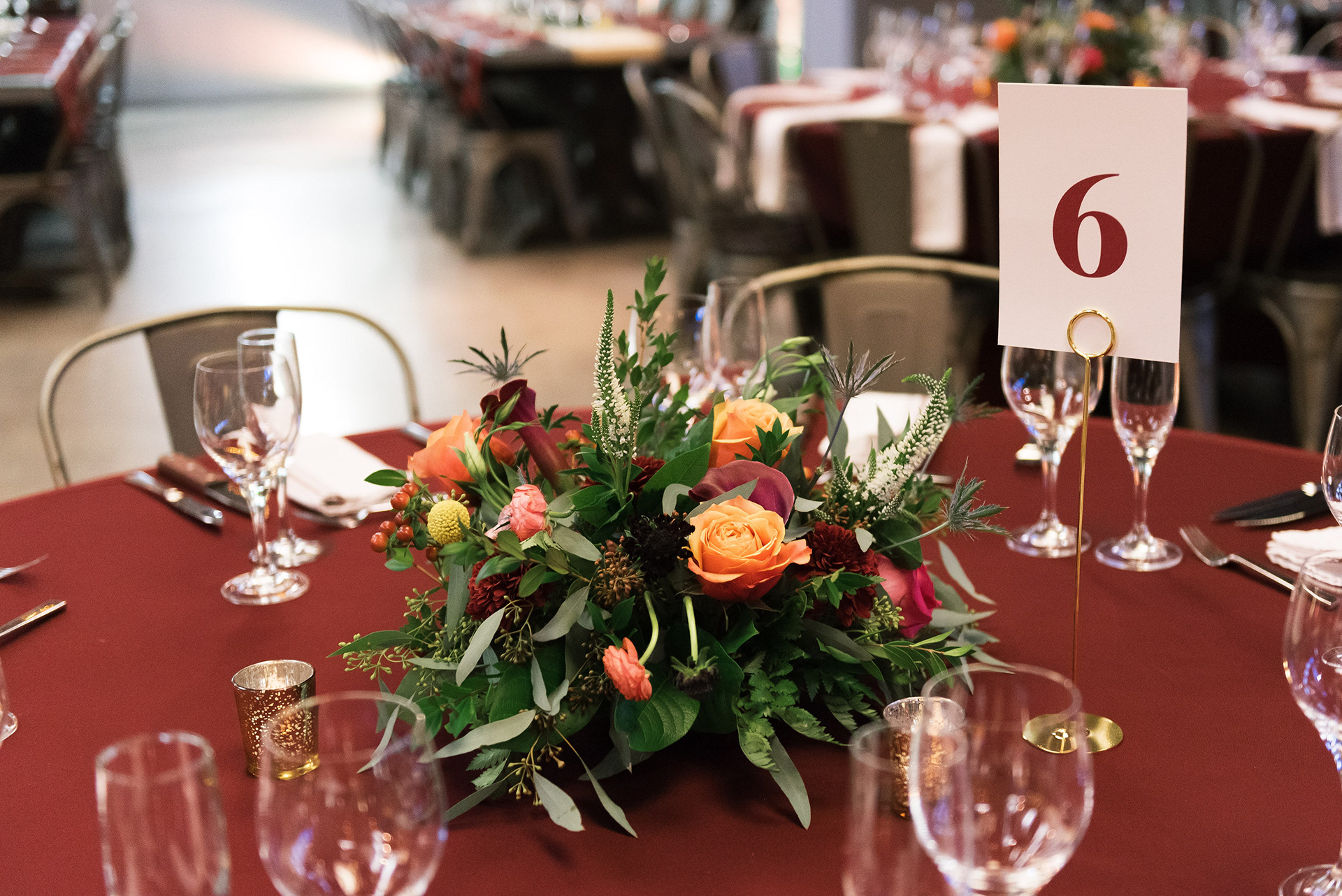 Photo by Colleen San Clement