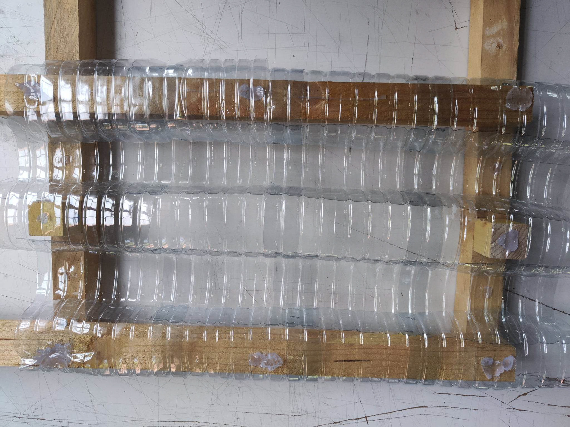 Atelier bouteille recyclé
