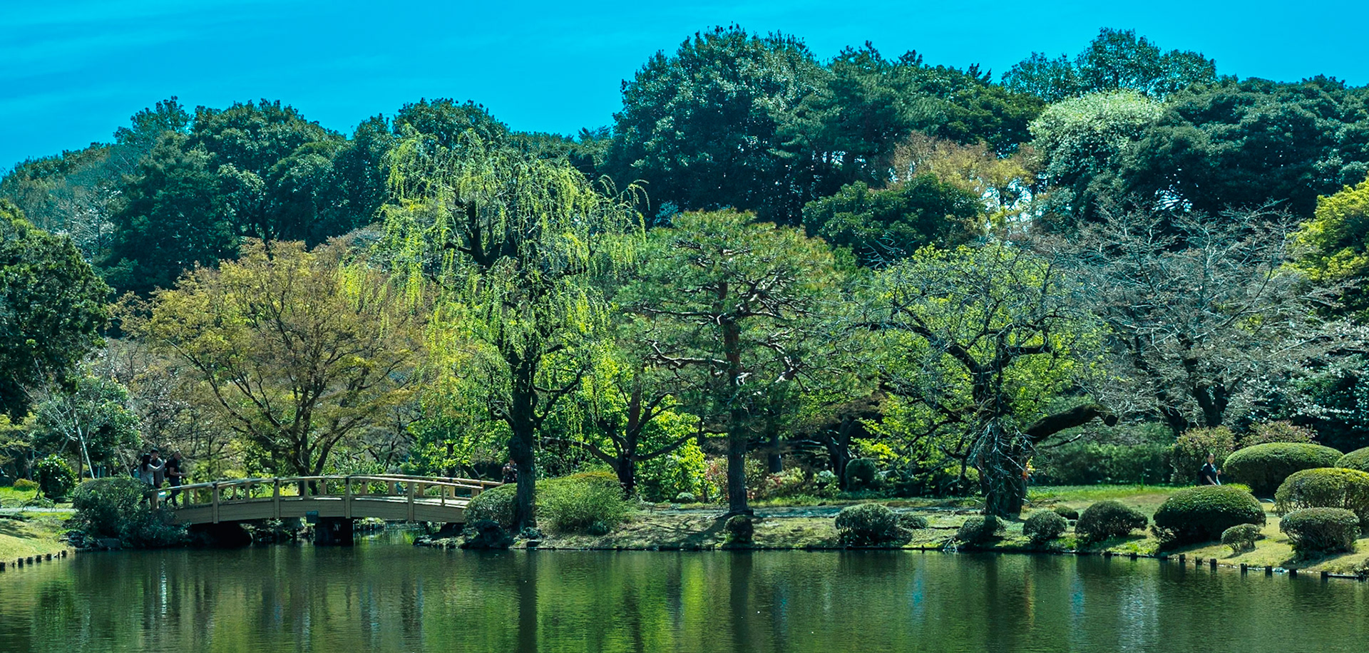 Shinjuku Garden