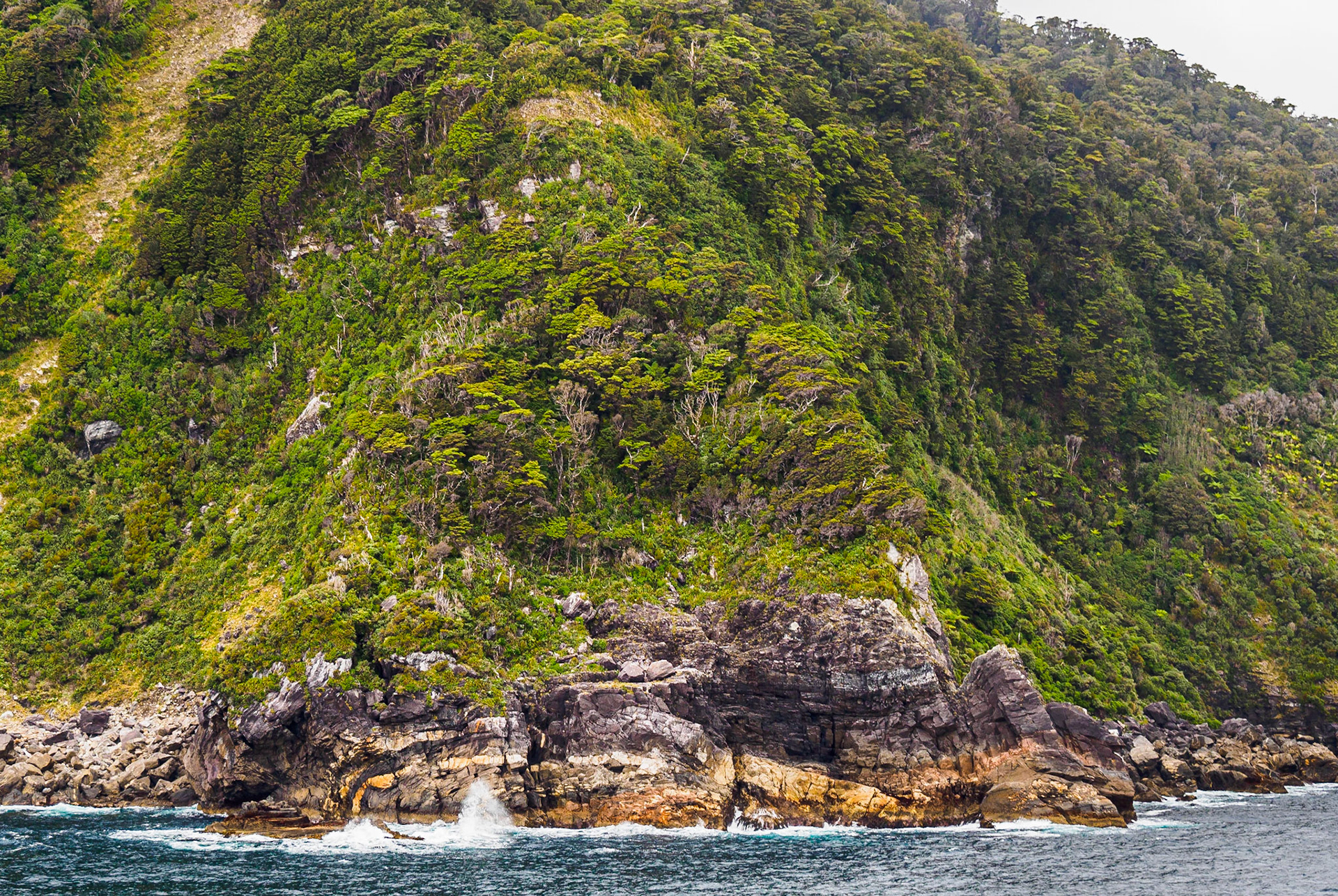 Thompson Sound