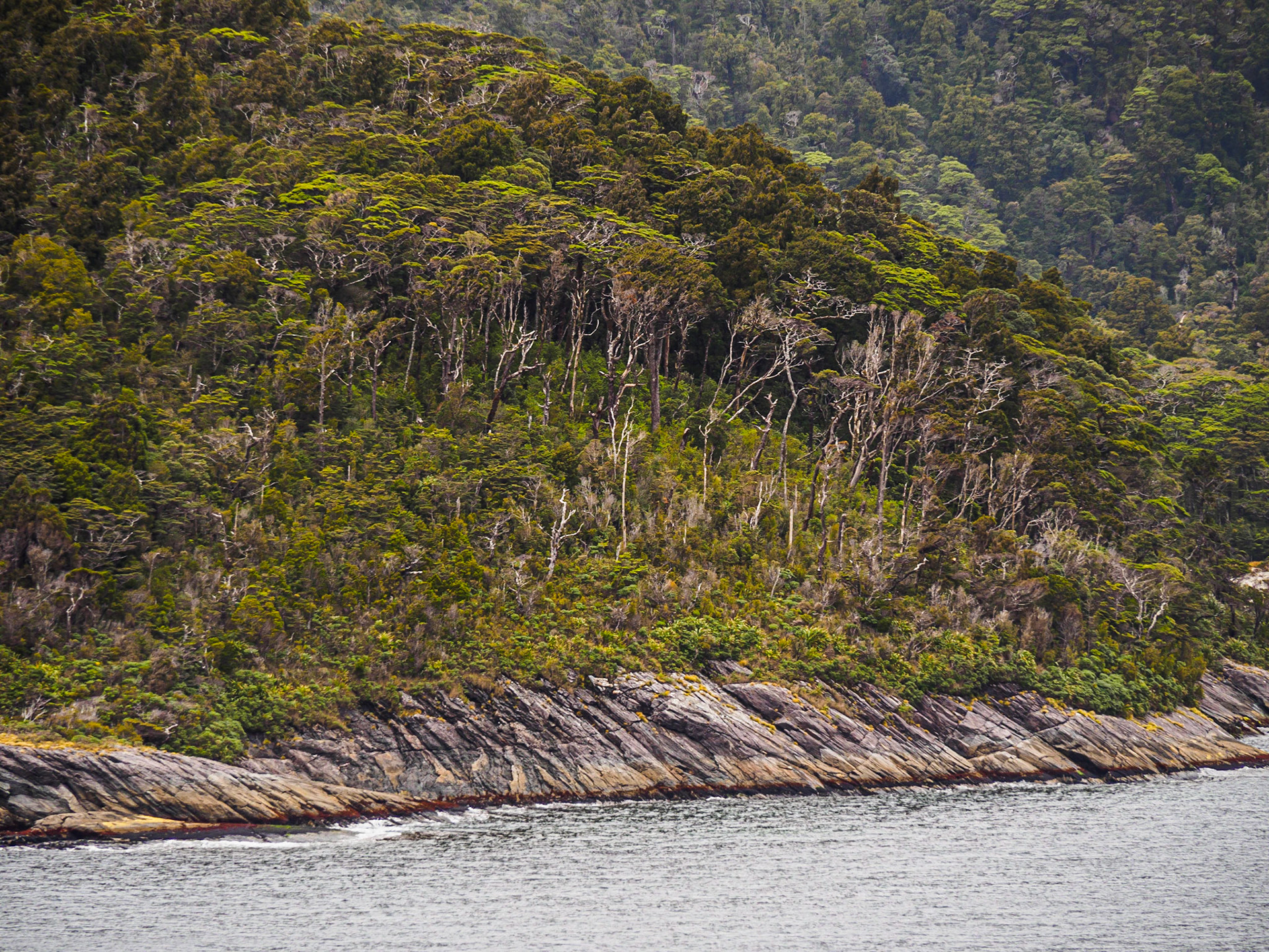 Doubtful Sound