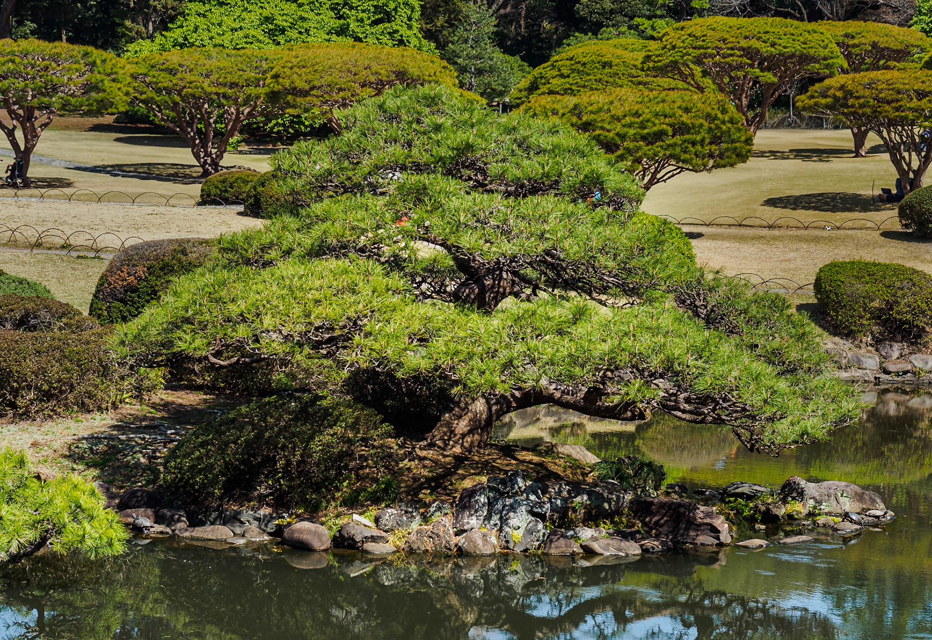 Shinjuku Garden