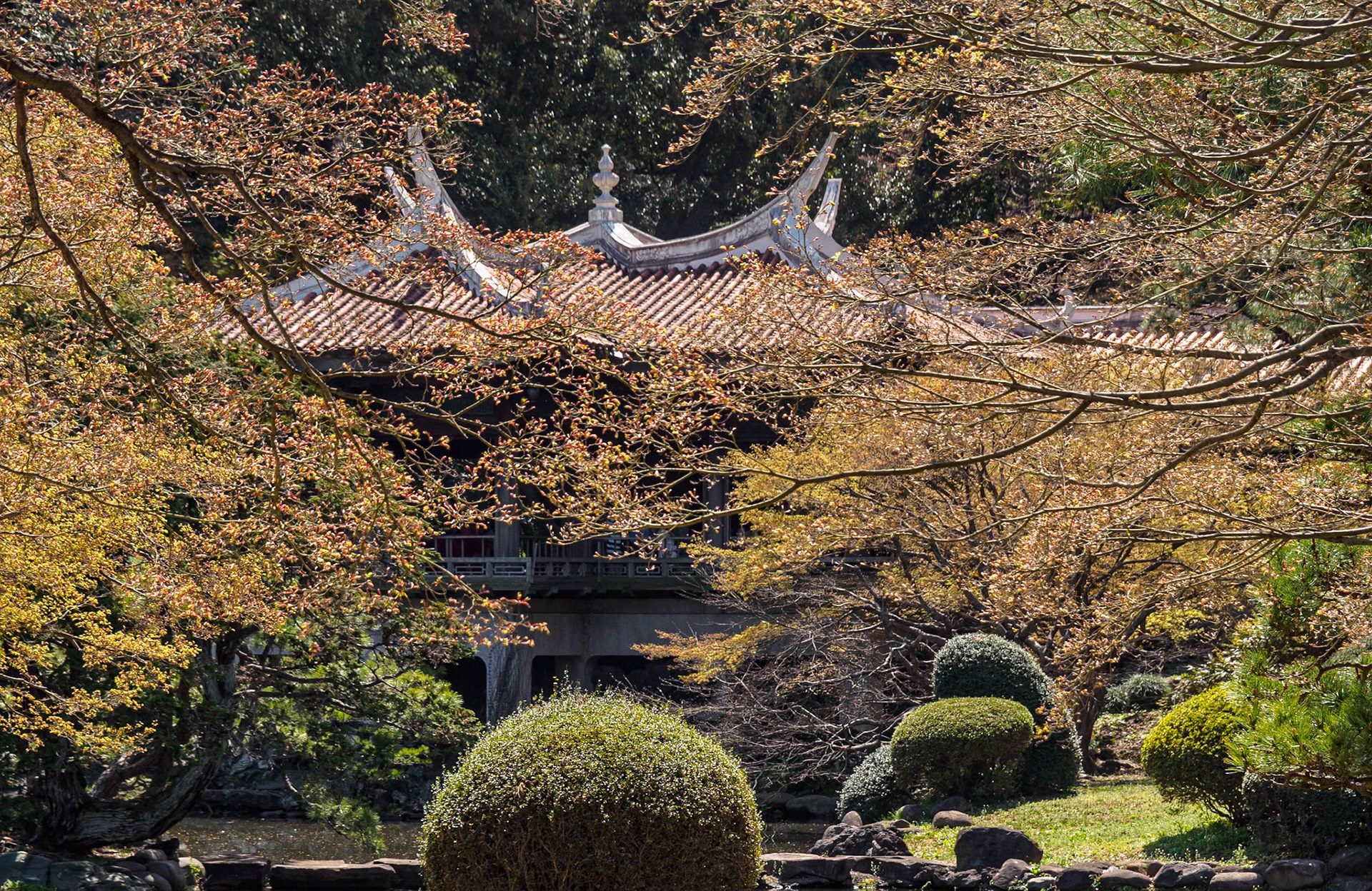 Shinjuku Garden