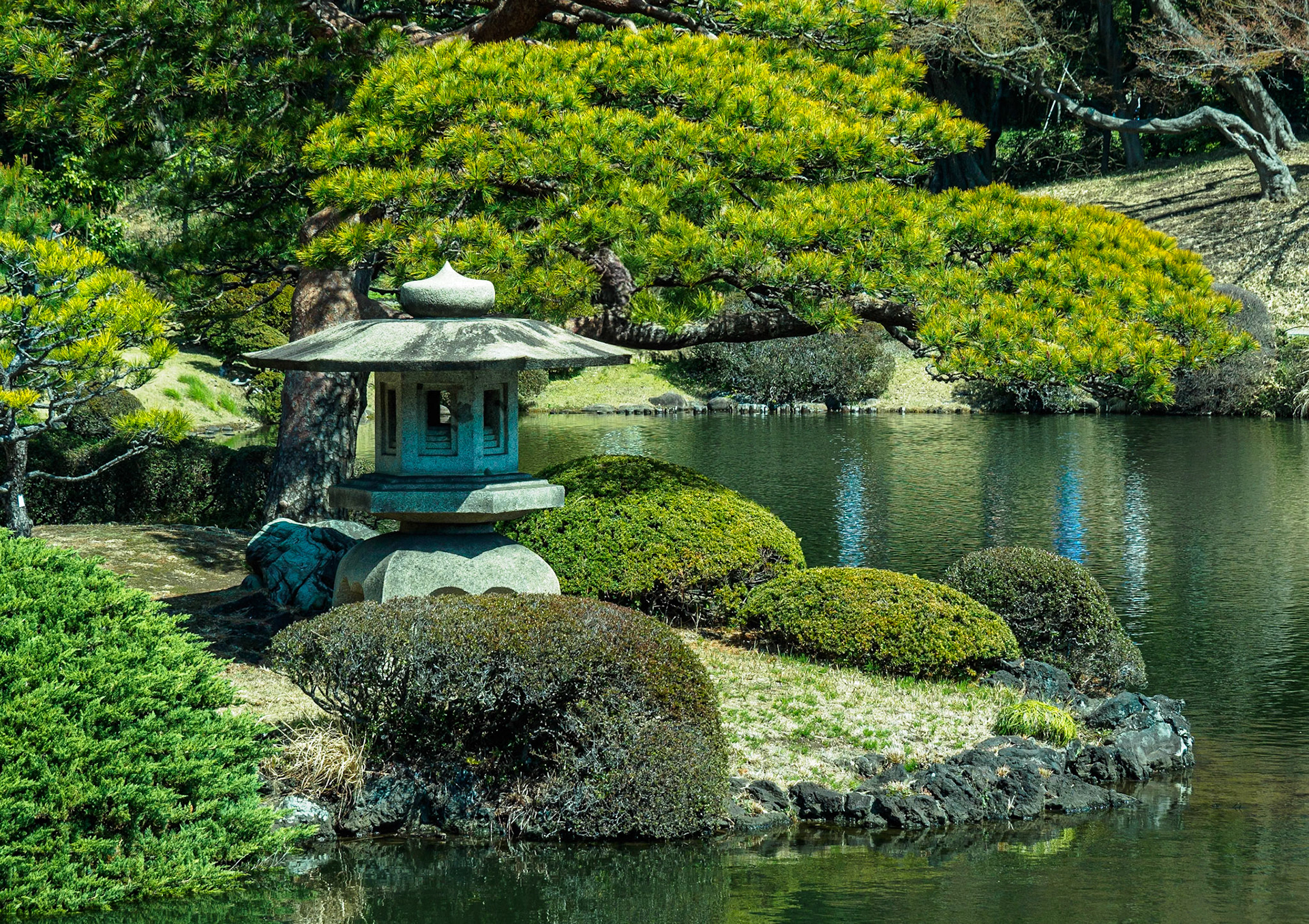 Shinjuku Garden