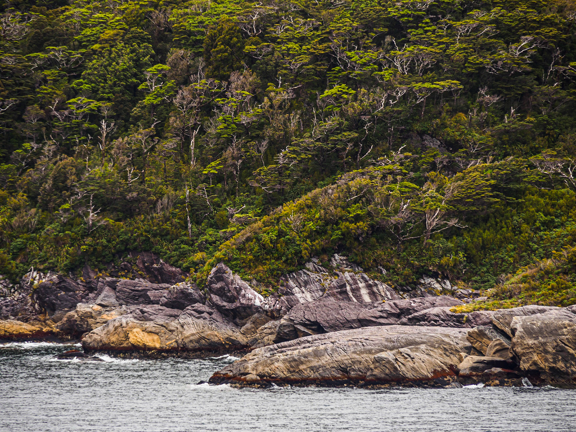 Doubtful Sound