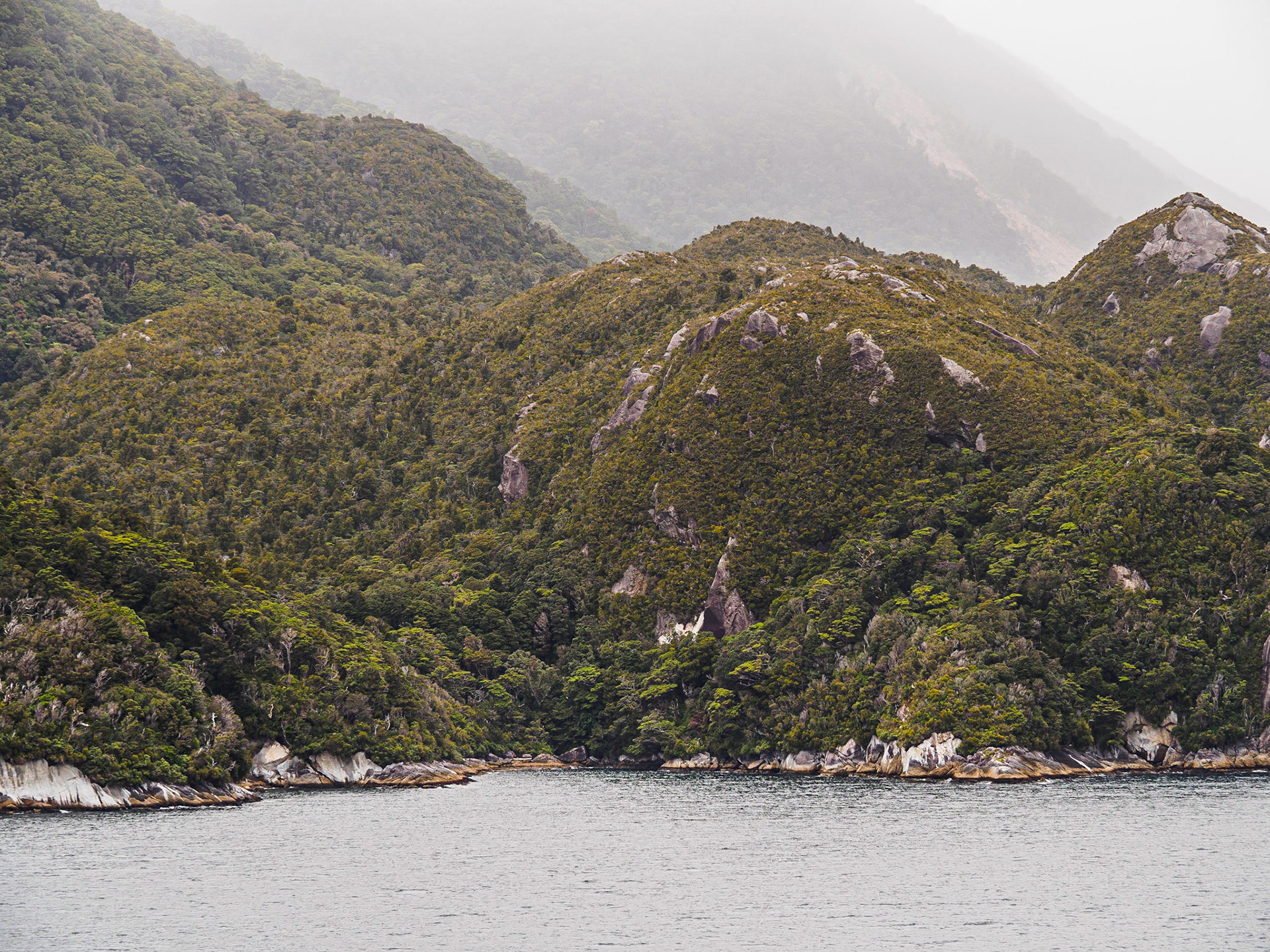 Doubtful Sound