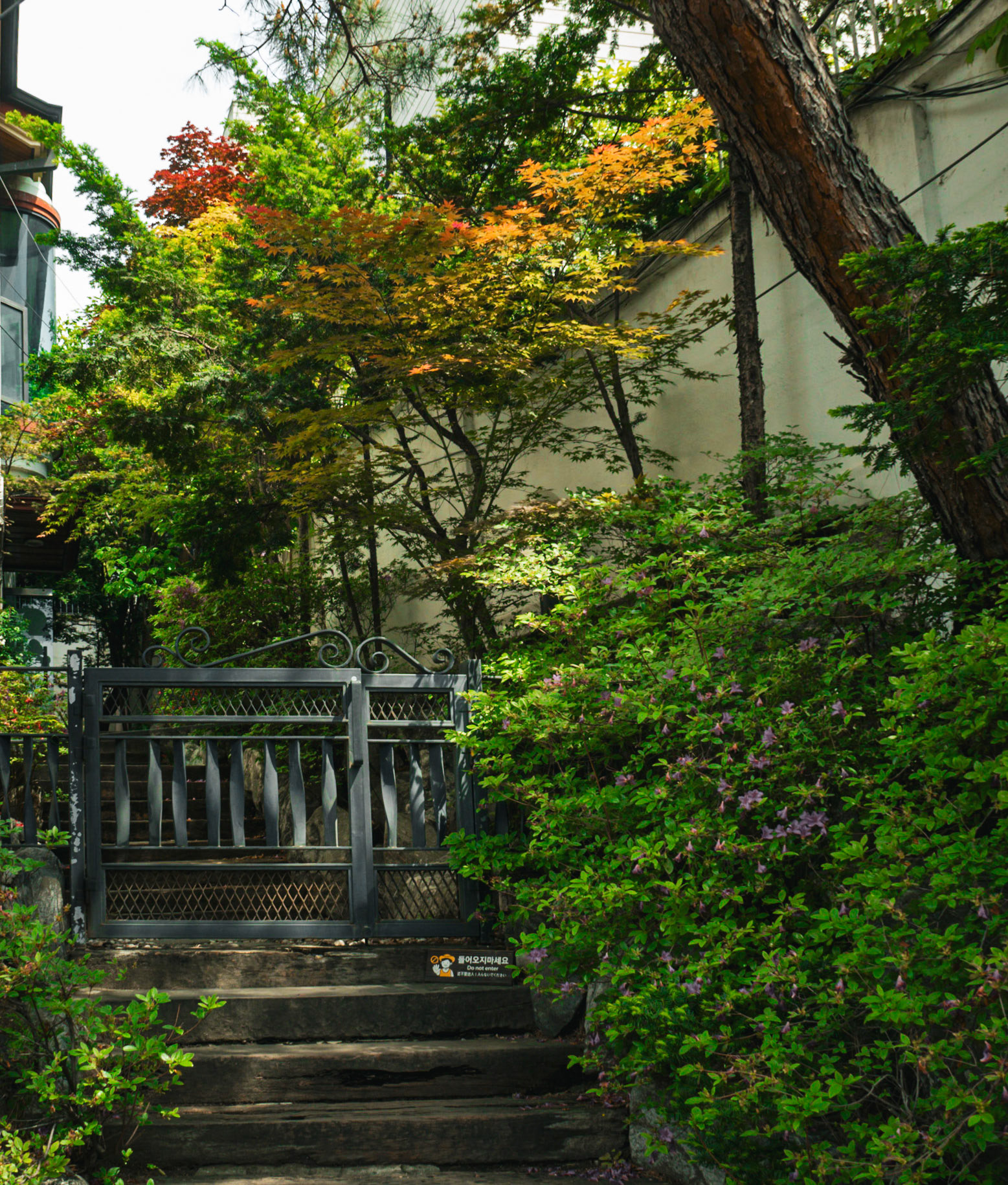 Bukchon Hanok Village