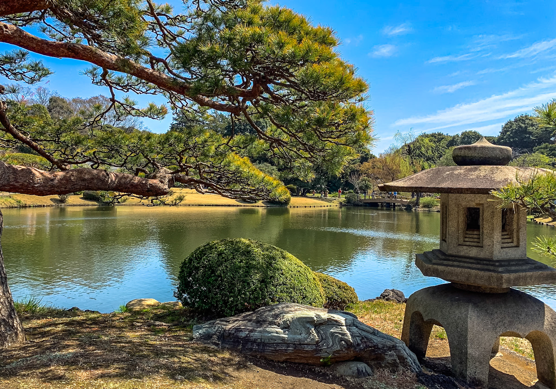 Shinjuku Garden
