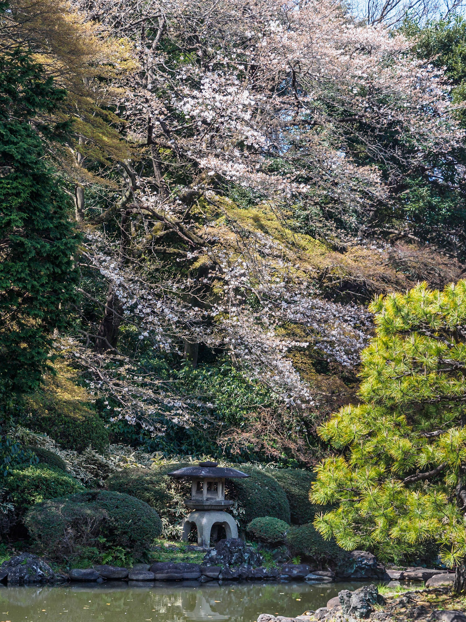 Shinjuku Garden