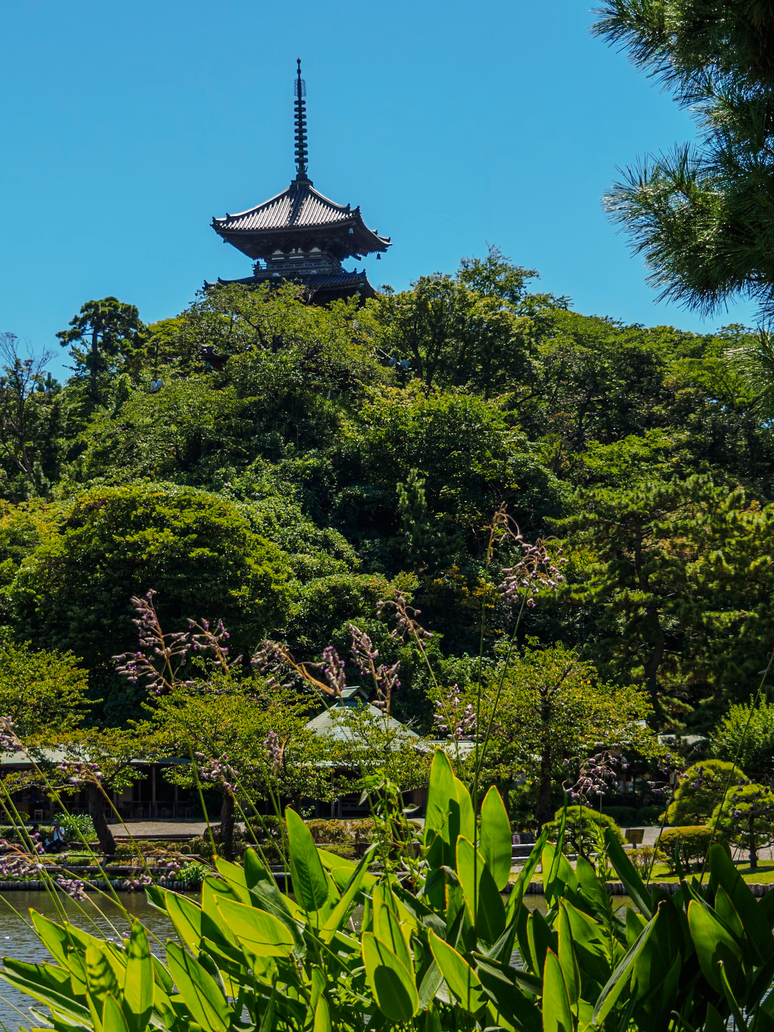 Three-Storey Pagoda of Former Tomyoji Temple viewed vrom Main Pond