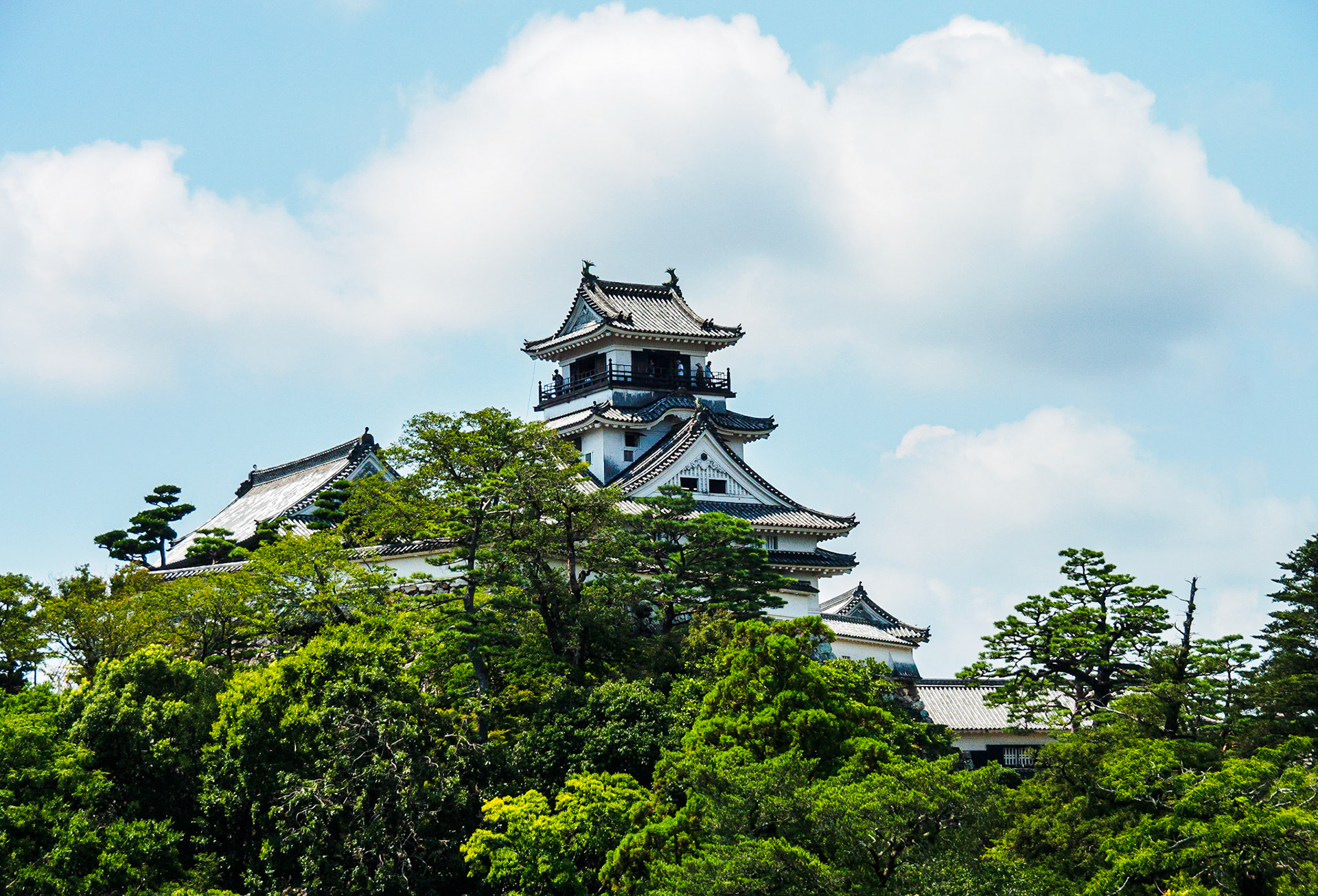 Kochi Castle view from Kochi Castle Museum