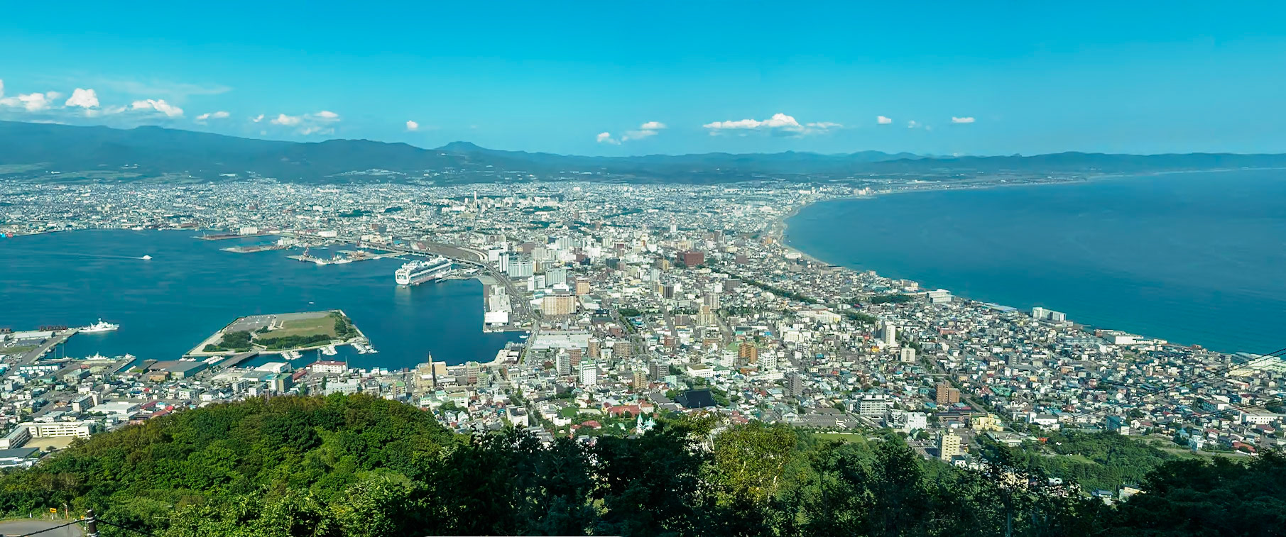 View from Mt Hakodate Observatory