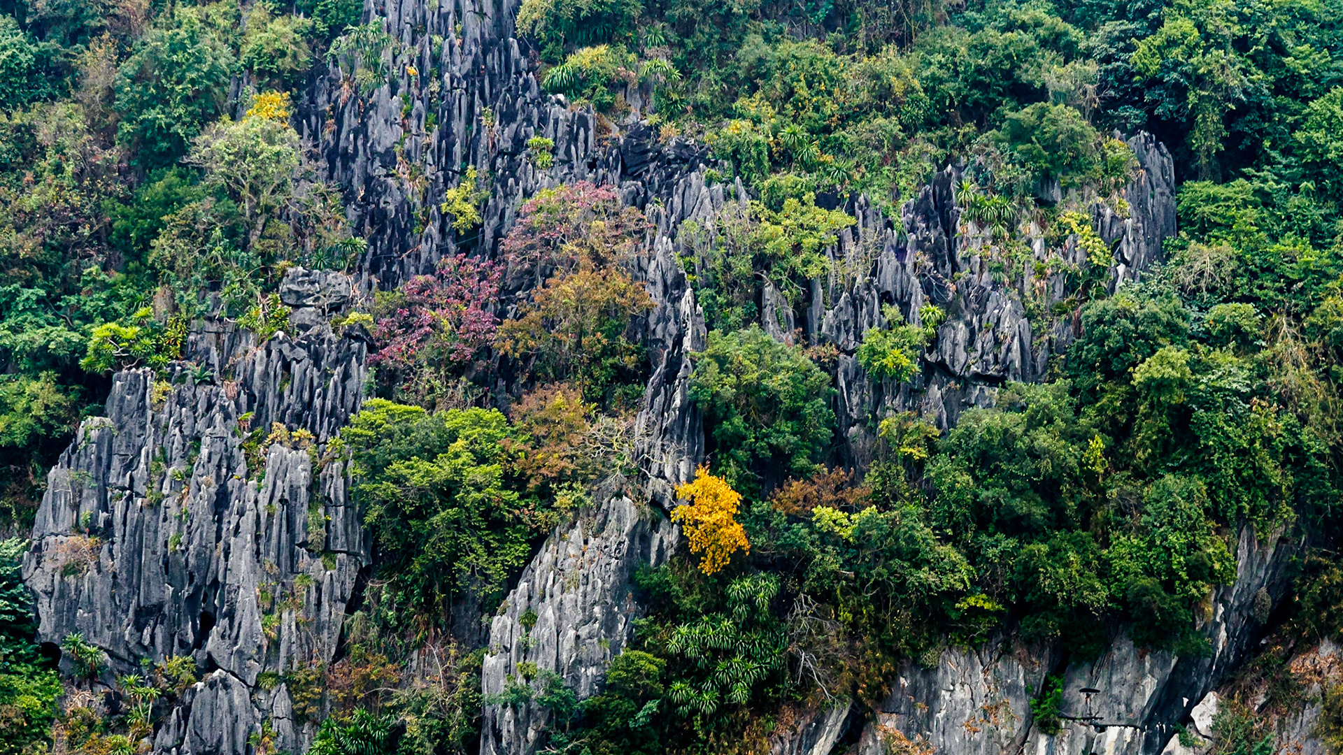 Ha Long Bay