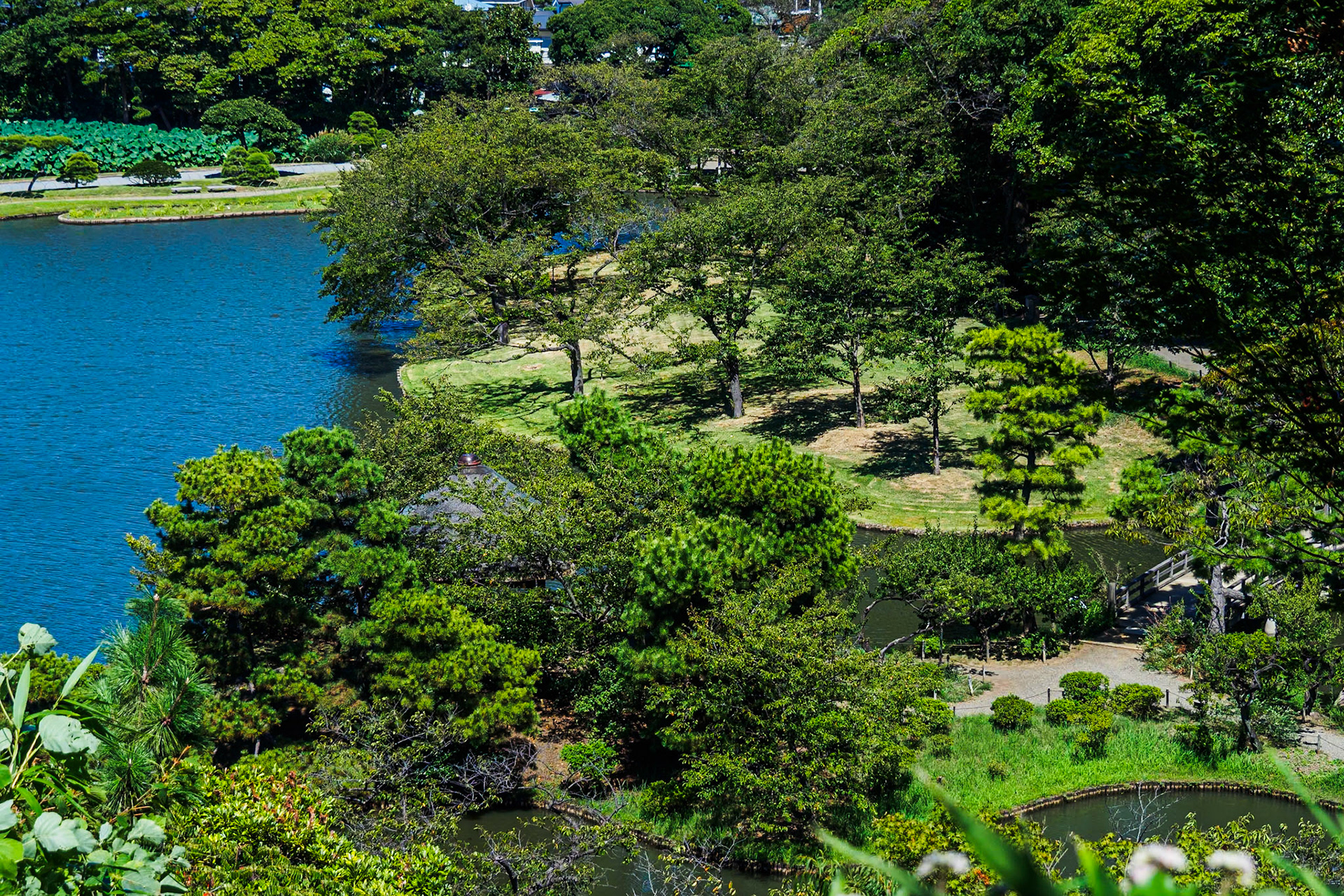 View from Three-Storey Pagoda of Former Tomyoji Temple
