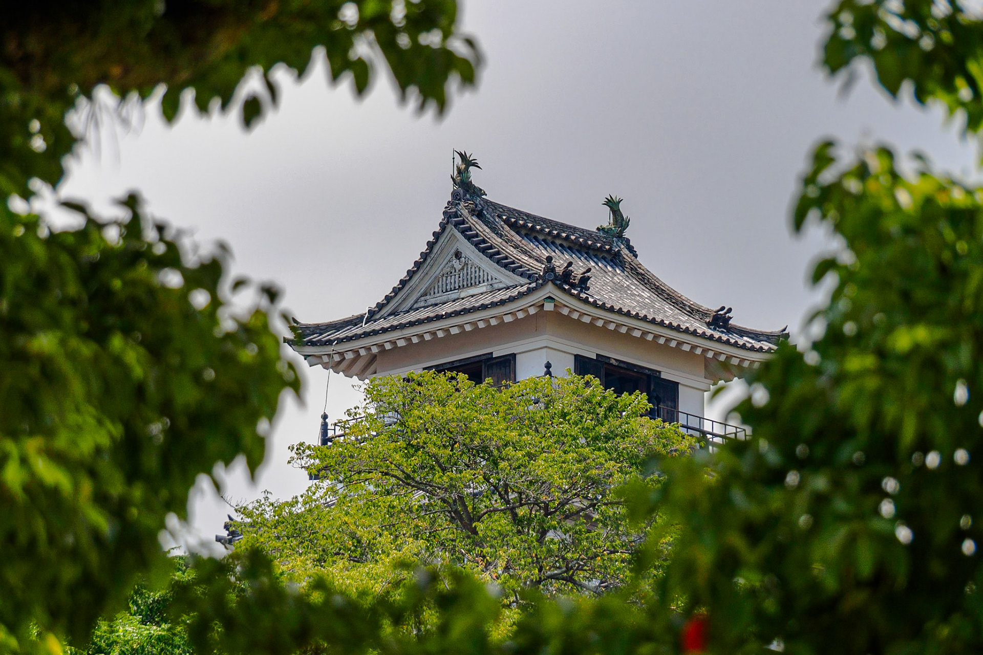 Kochi Castle