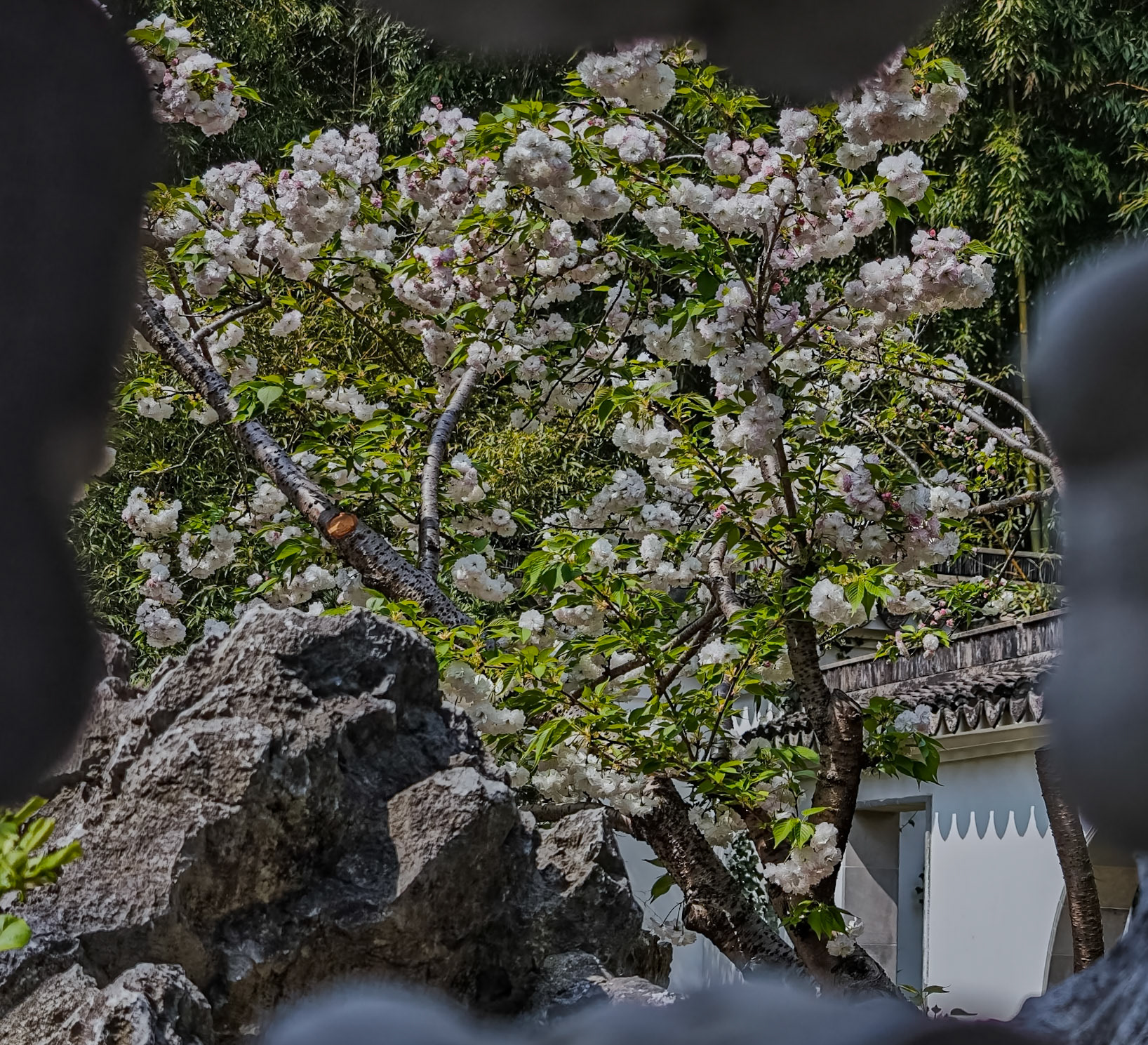 Guyi Garden