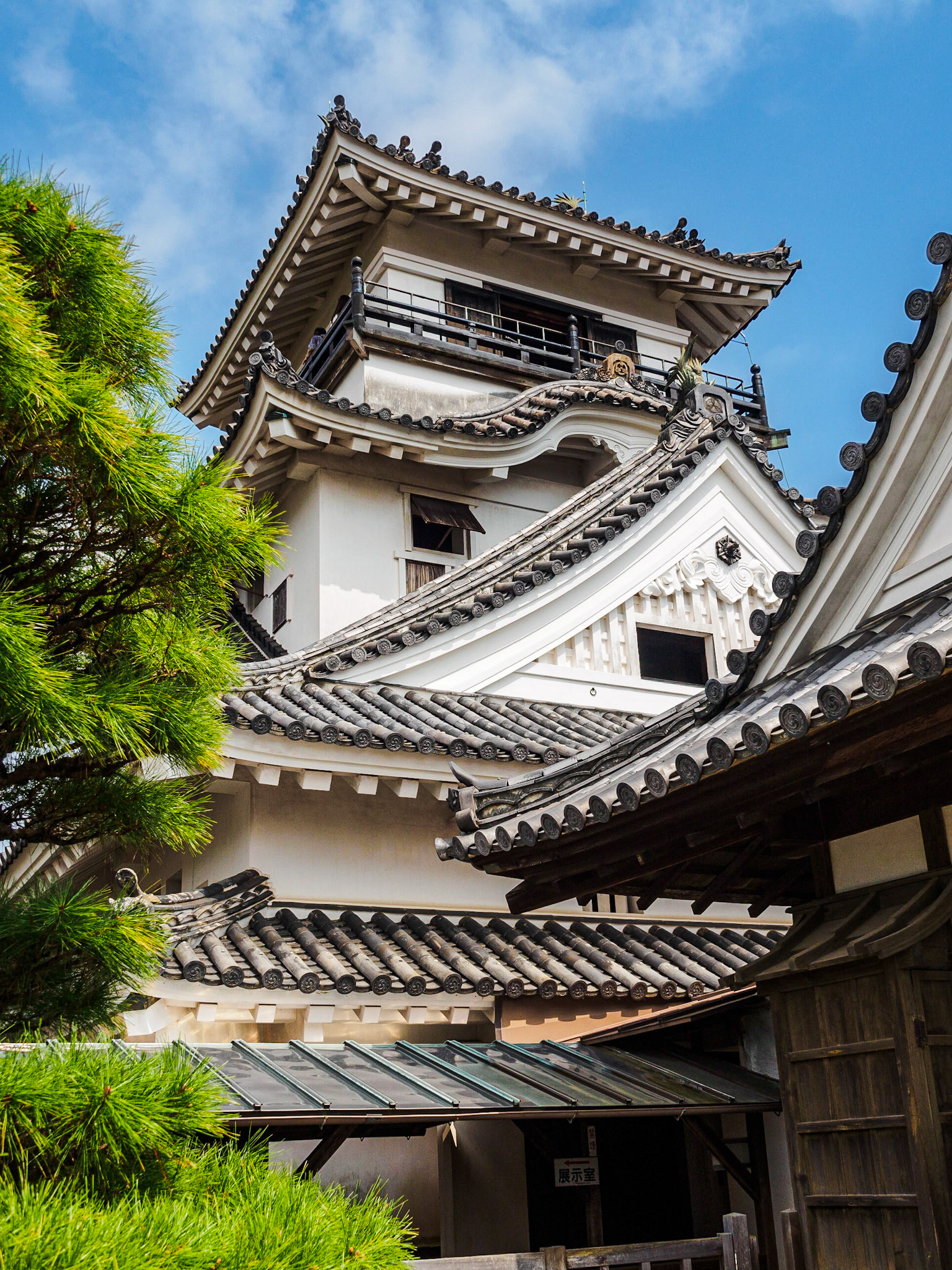 Kochi Castle