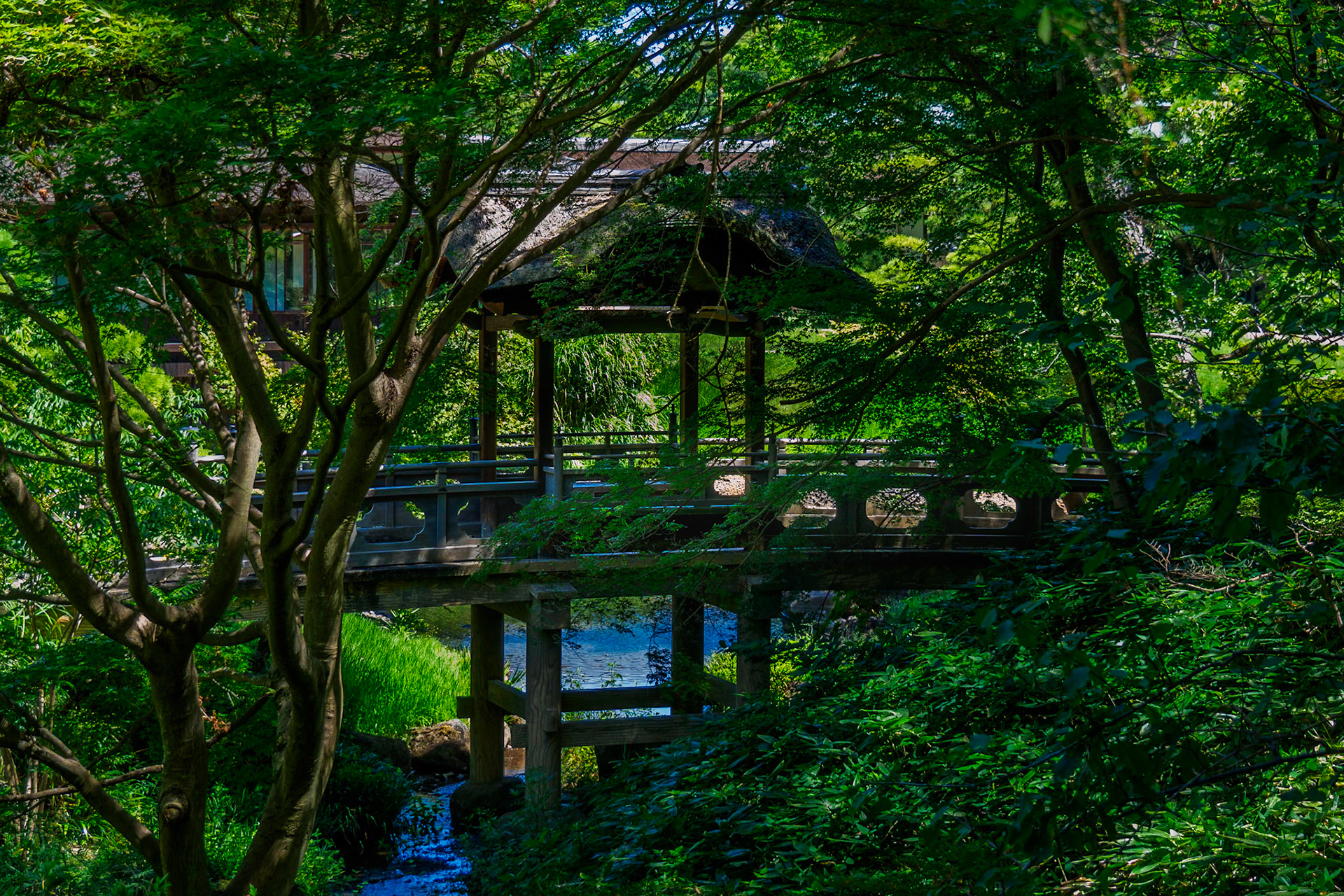 Teisha Bridge
