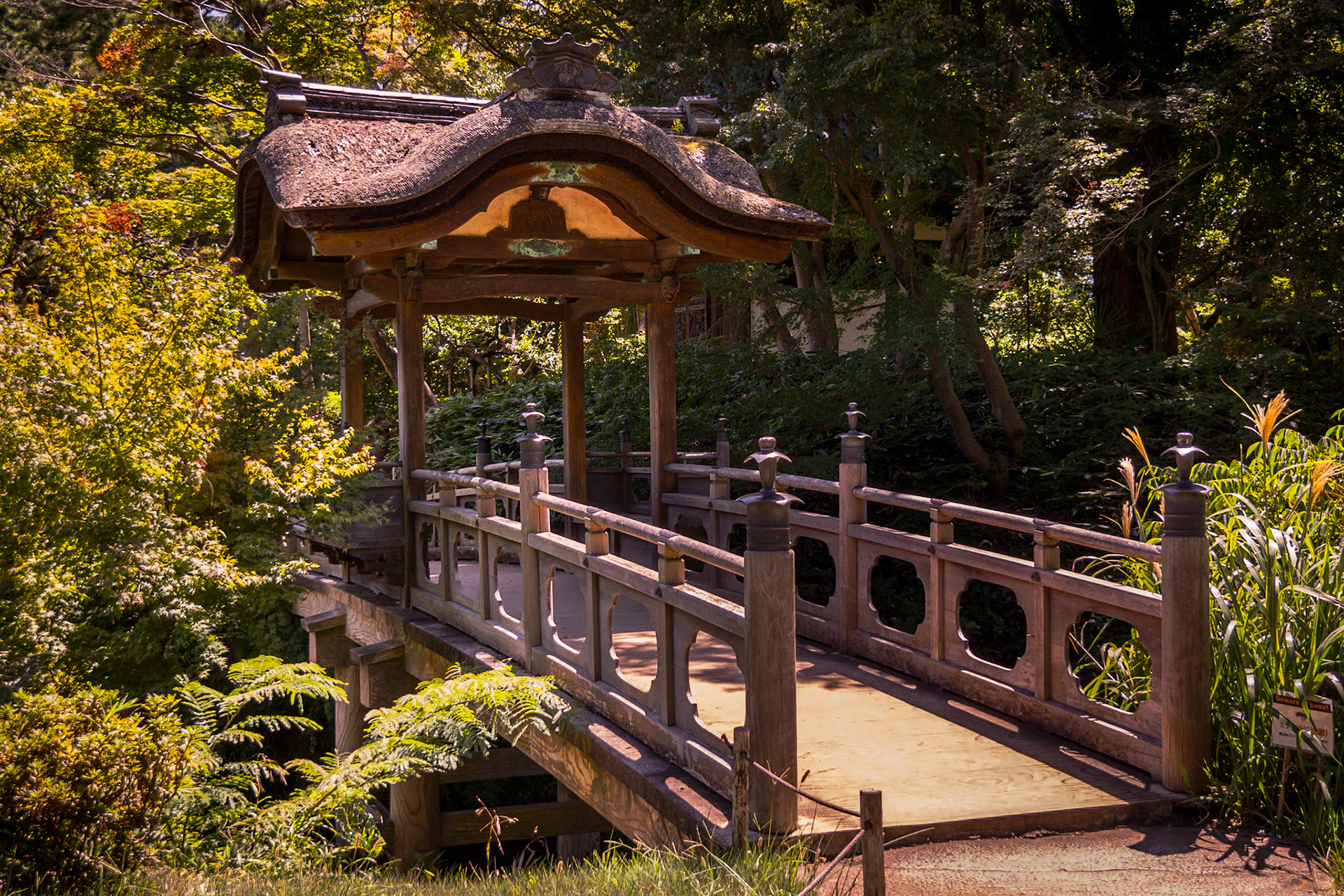 Teisha Bridge