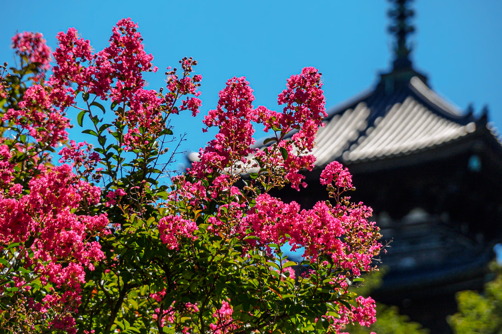 Three-Storey Pagoda of Former Tomyoji Temple