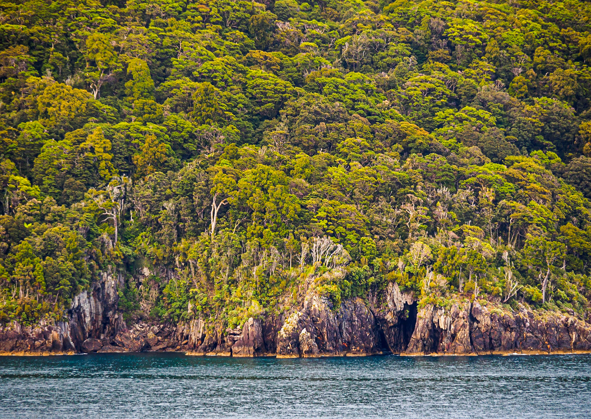 Milford Sound