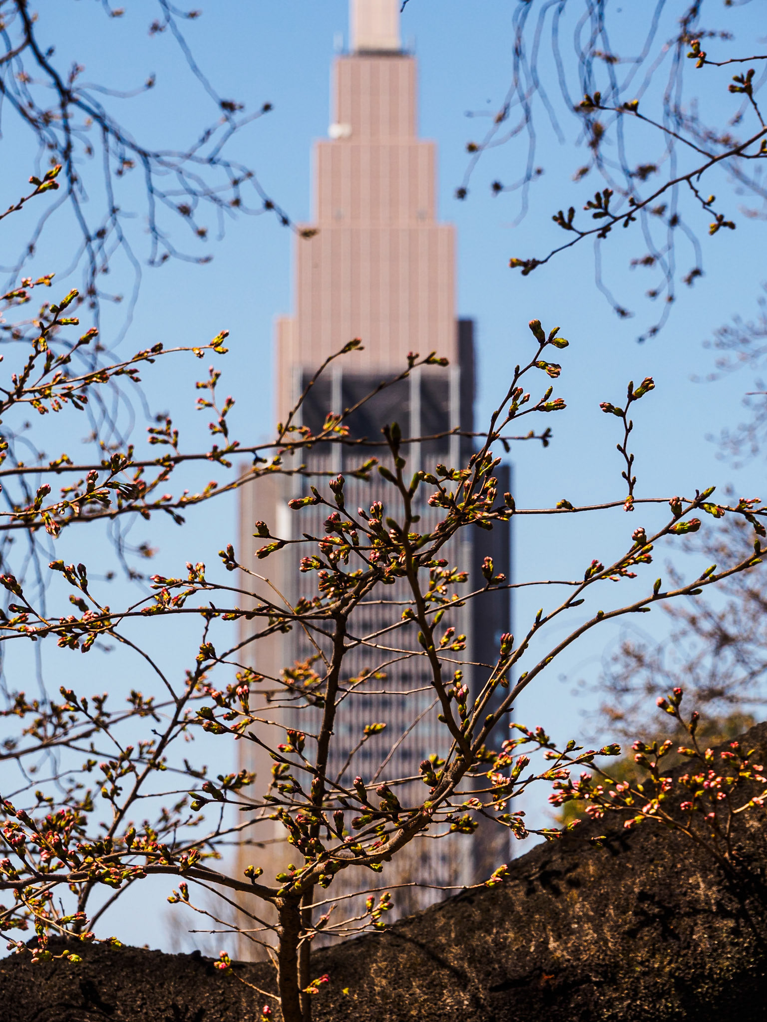 Shinjuku Garden