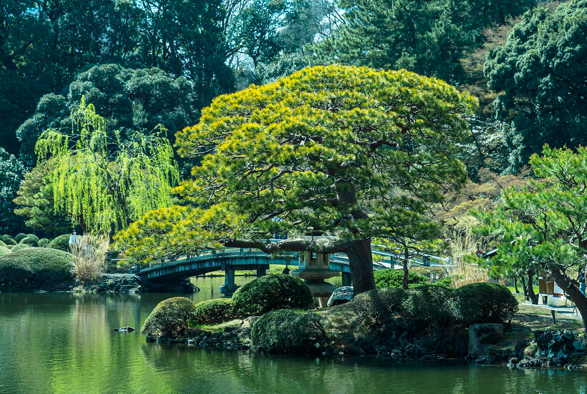 Shinjuku Garden