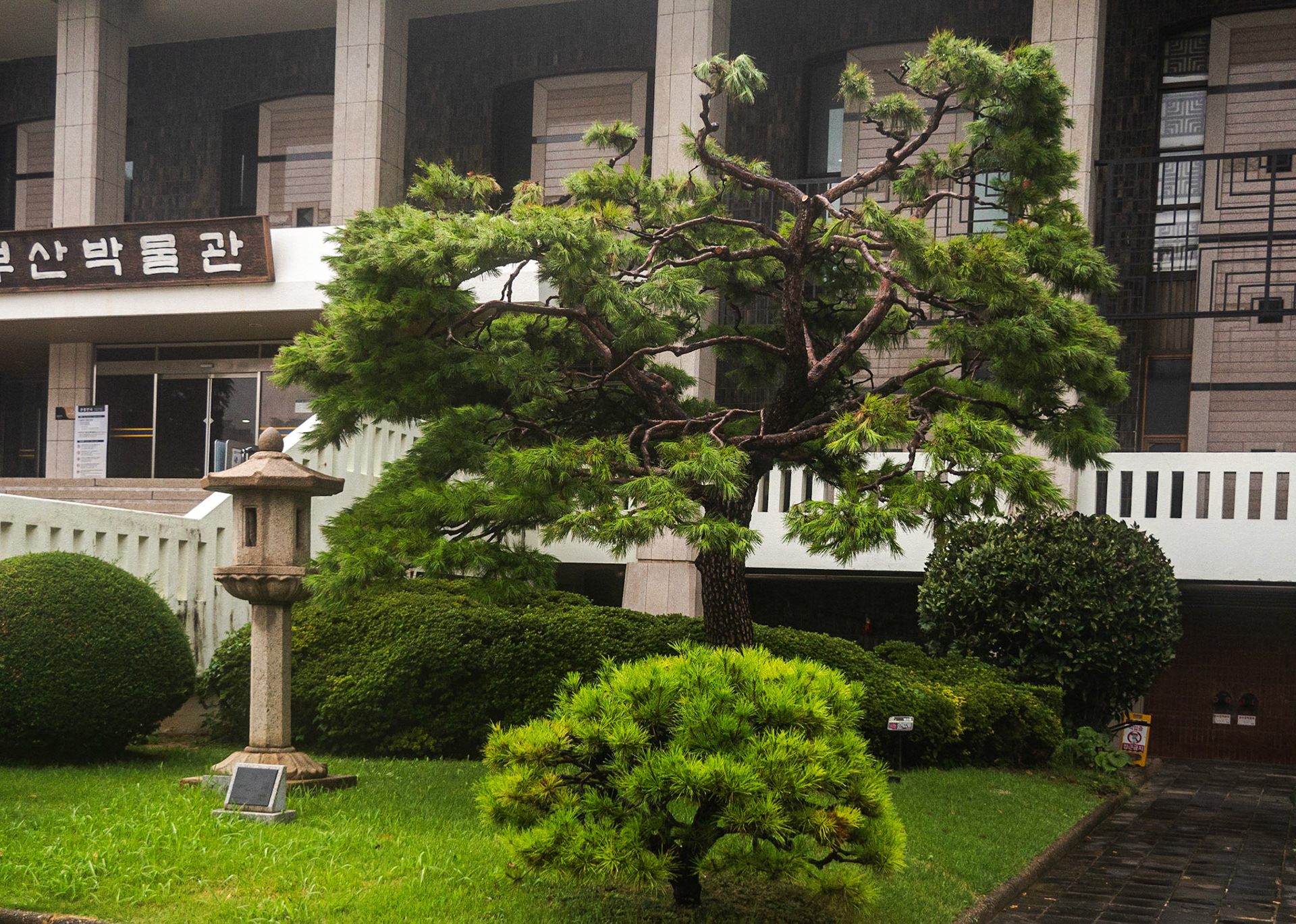 Busan Museum