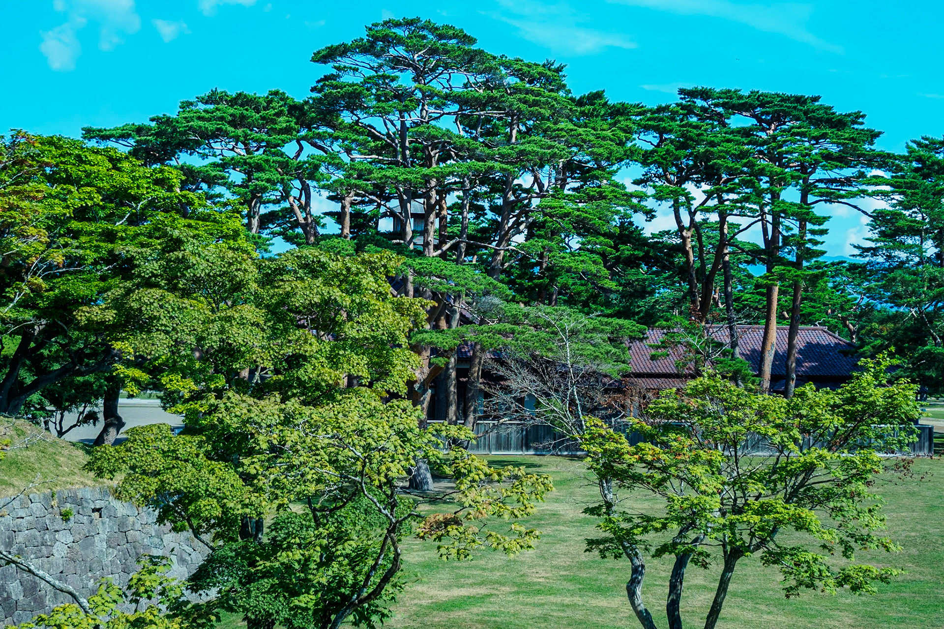 Goryokaku Park