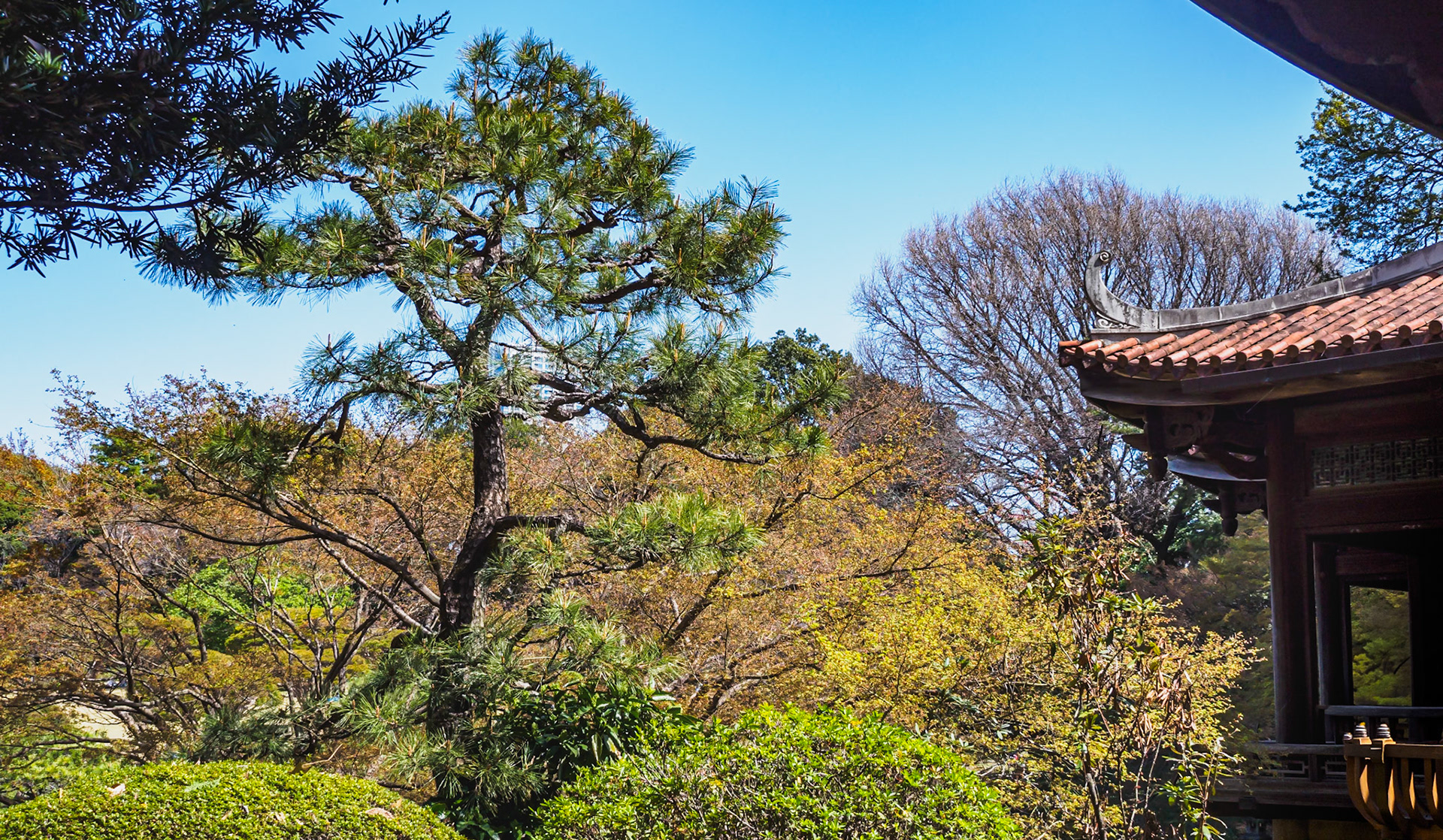 Shinjuku Garden