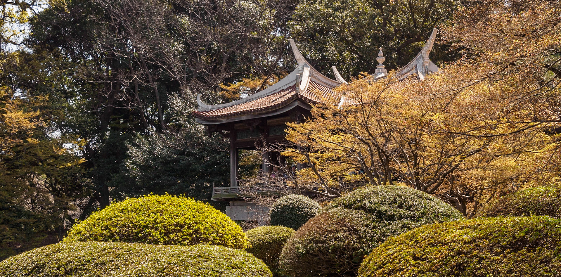Shinjuku Garden