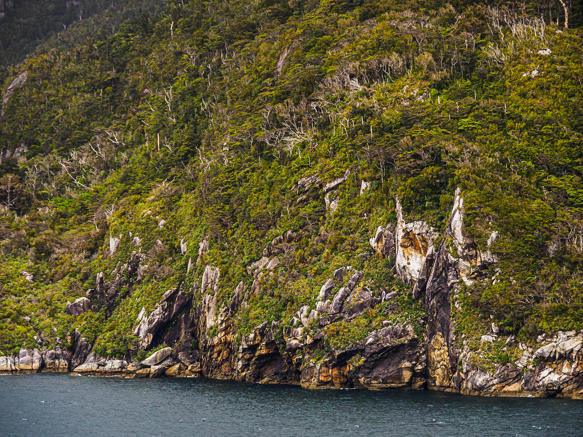 Doubtful Sound