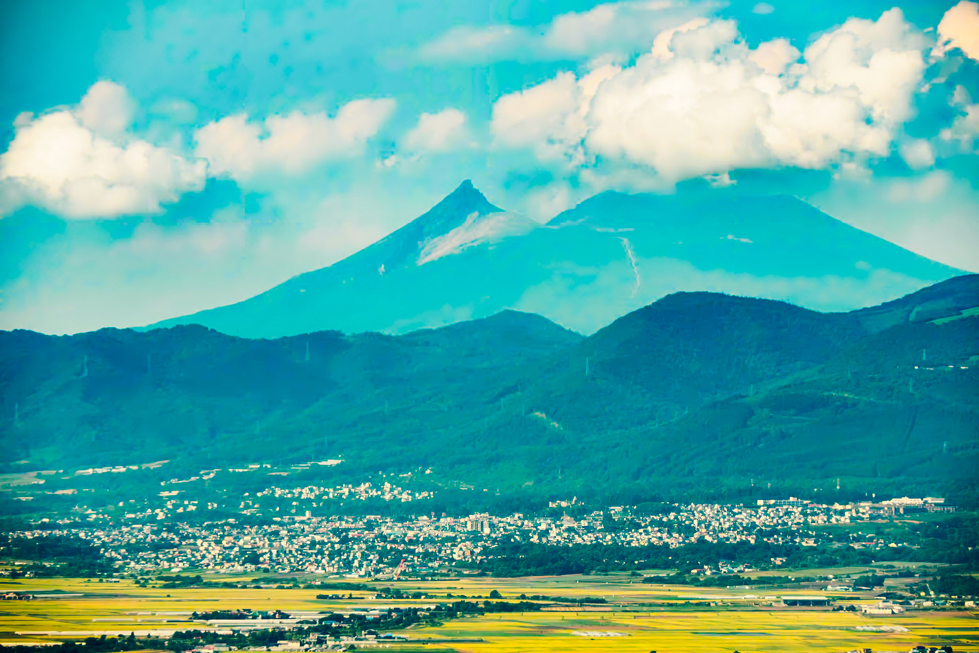 Kikonai