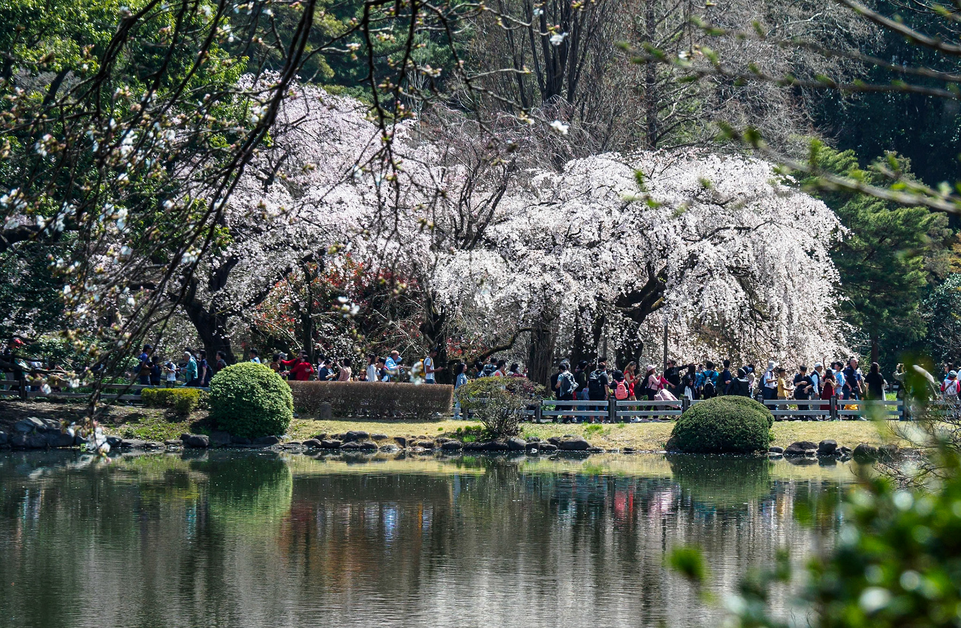 Shinjuku Garden