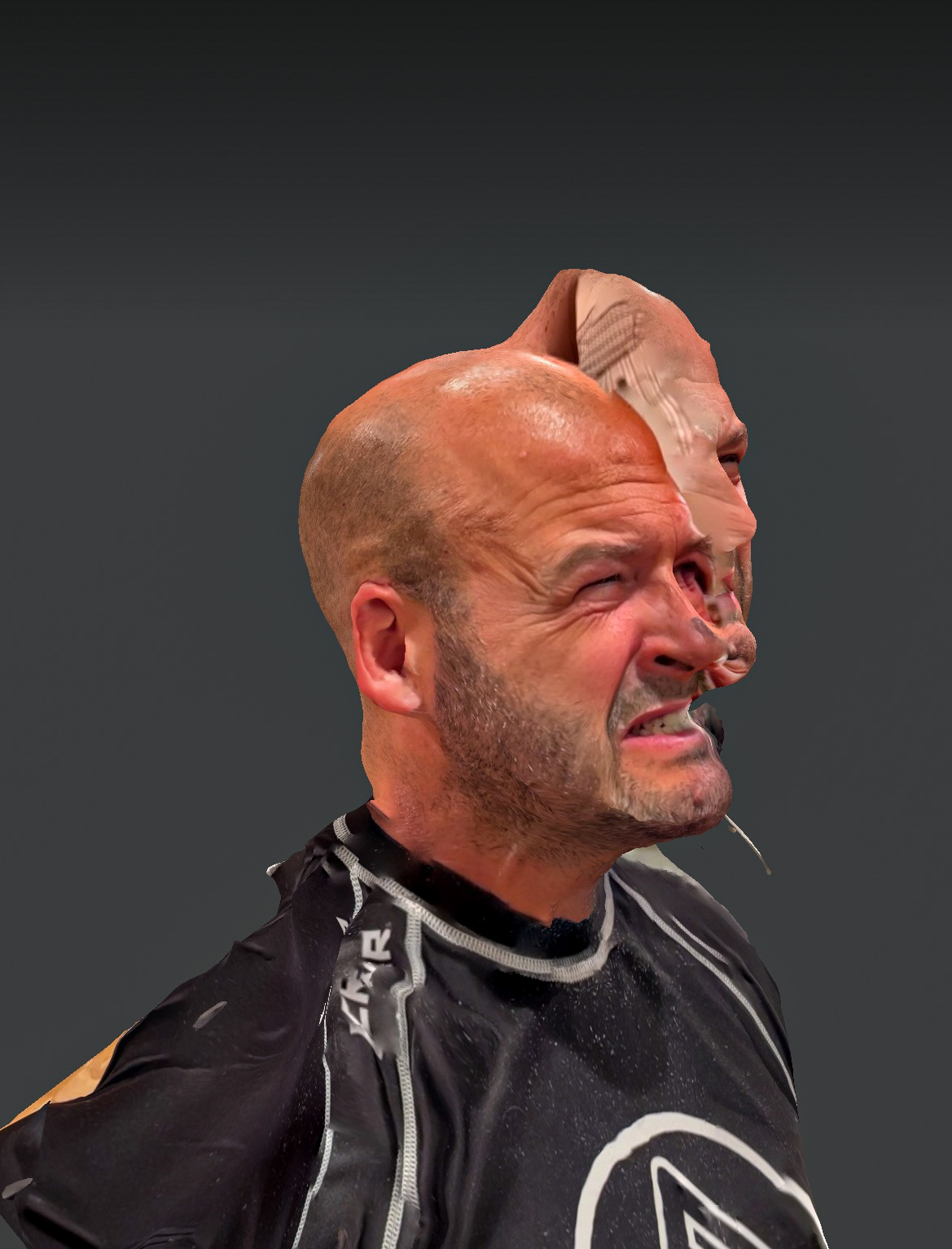 Hyper-Masculinity Schism 3, 2023, 3D scan on Diebond, 18” x 24”