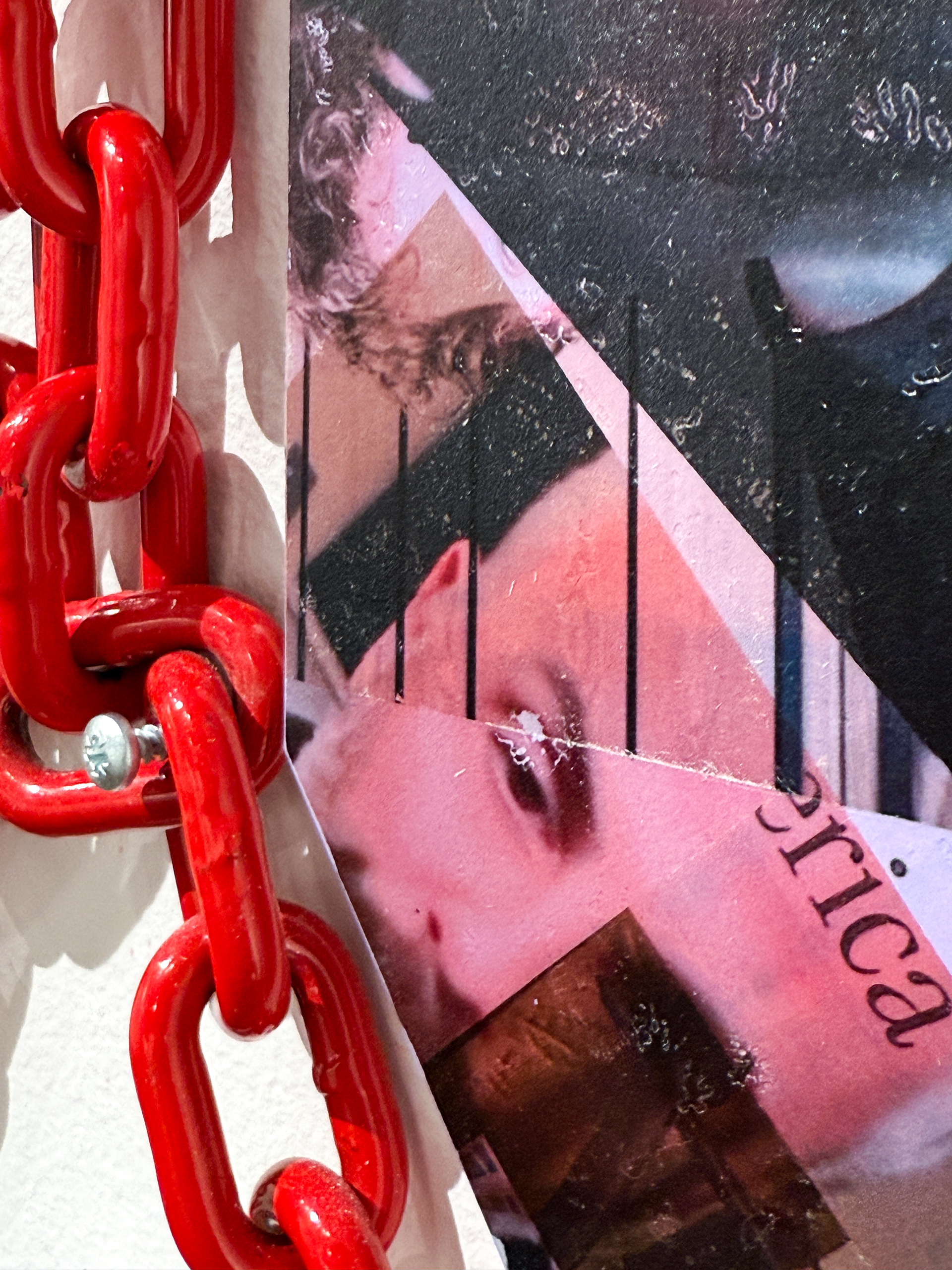  Our Better Angels: J6, 2025, acrylic image transfer on aluminum dibond, chain, vinyl., detail