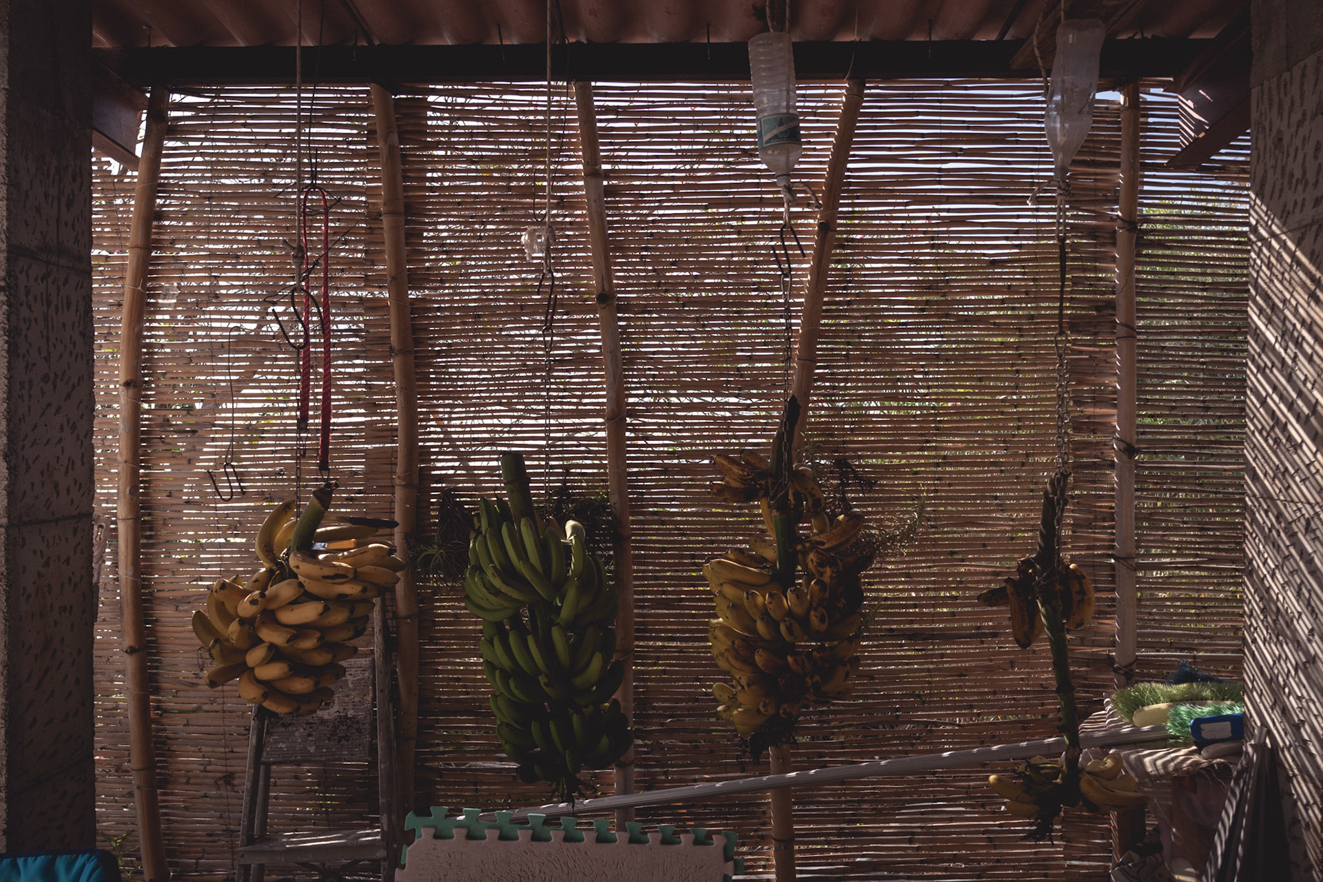 Filtered. La Palma, Canary Islands. February 2020.